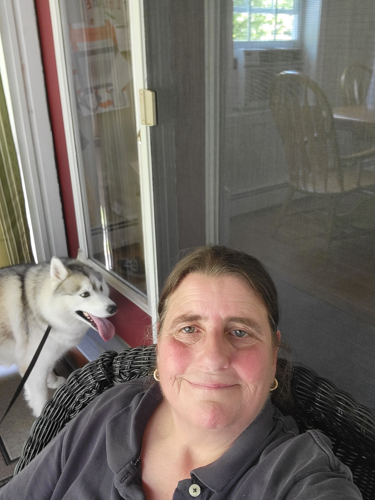 Our Town Kennel Peterborough