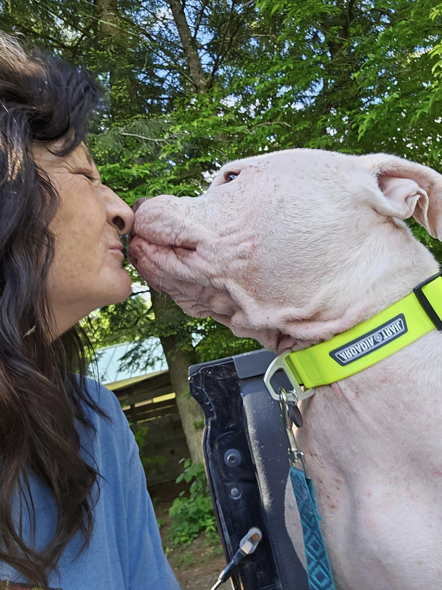 Dreams Come True Rescue Plainfield