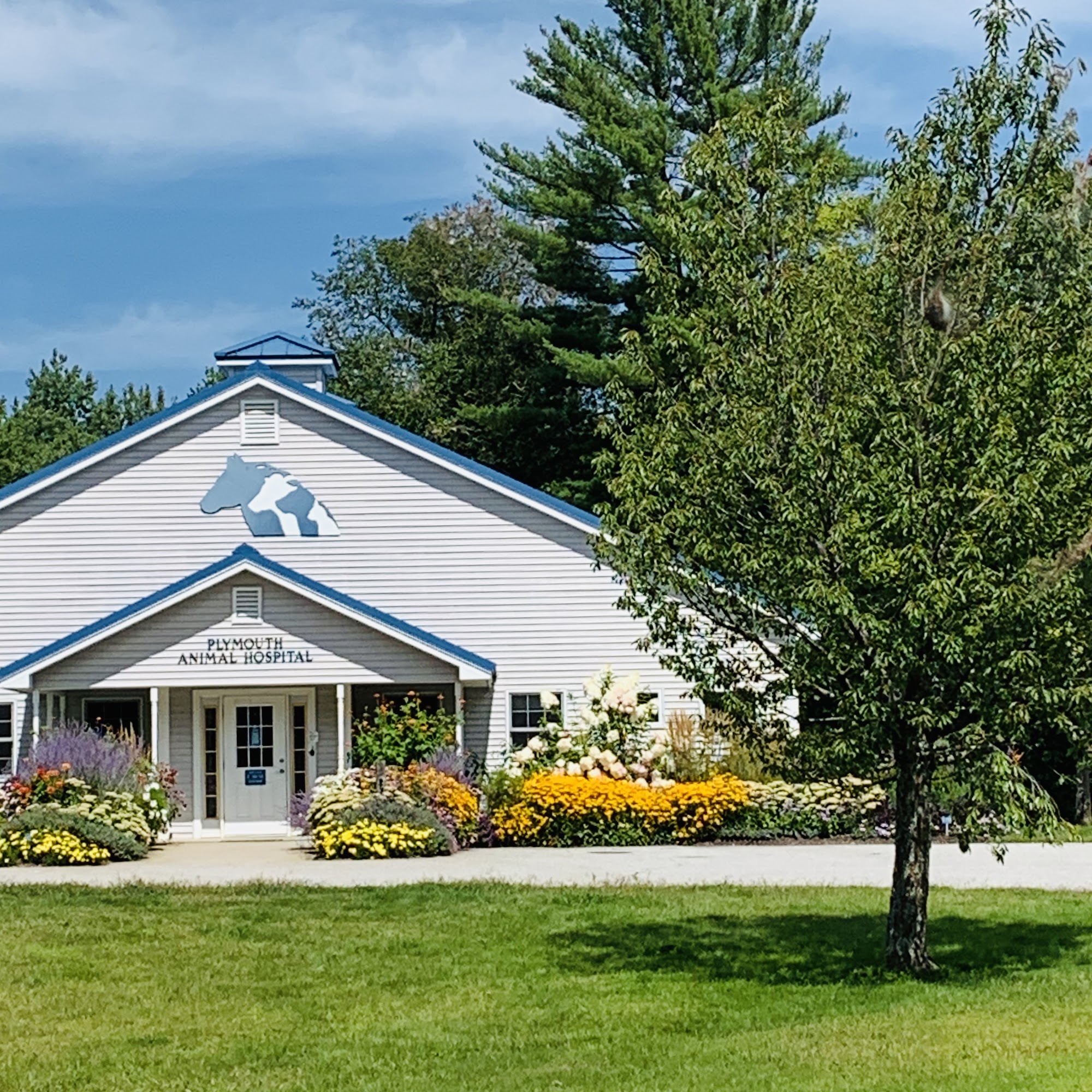 Plymouth Animal Hospital Plymouth