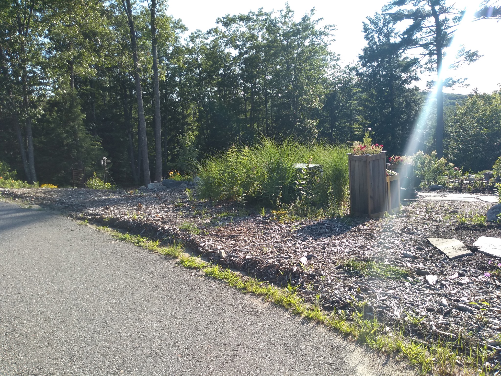 Clement's Nursery & Landscape
