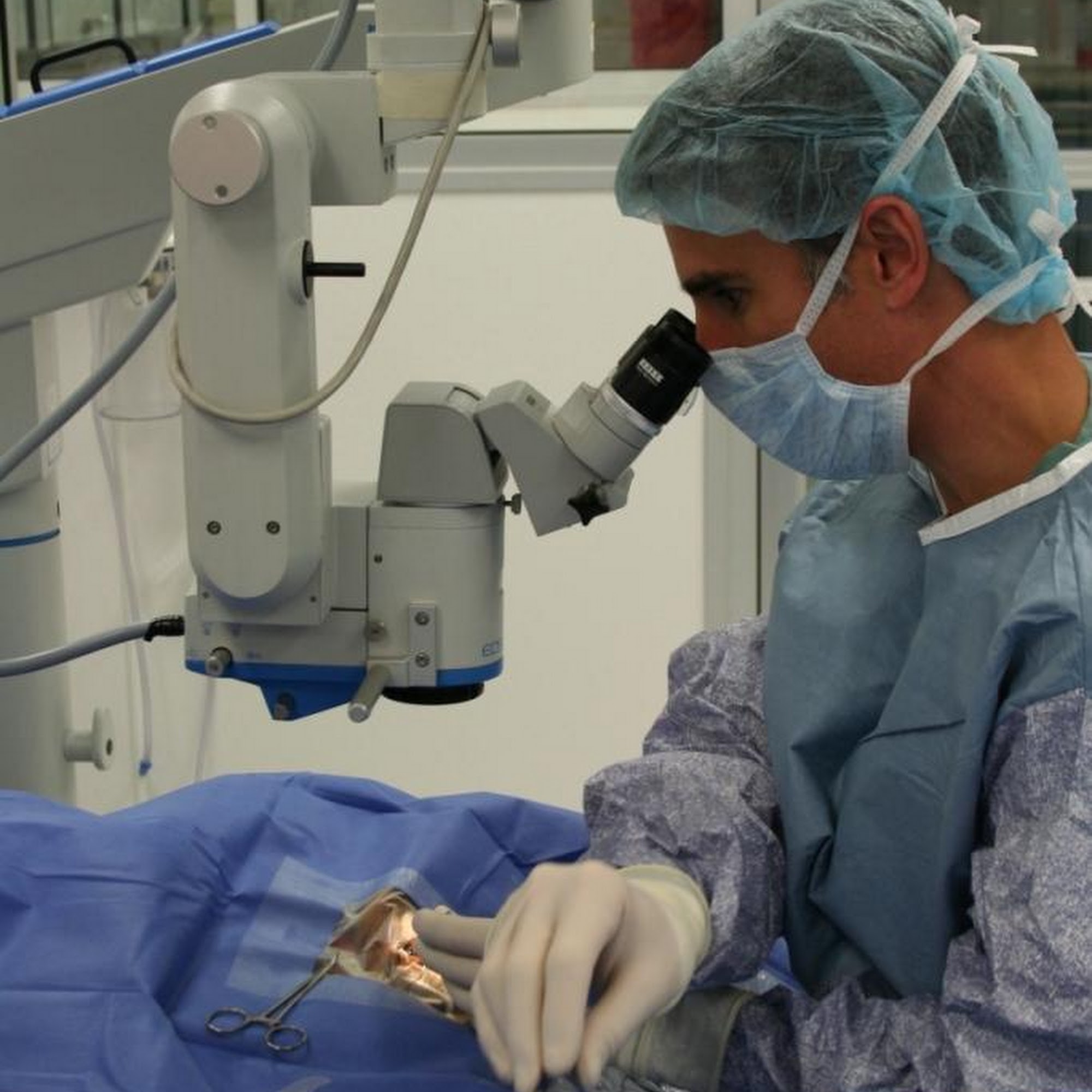 Port City Veterinary Referral Hospital Portsmouth