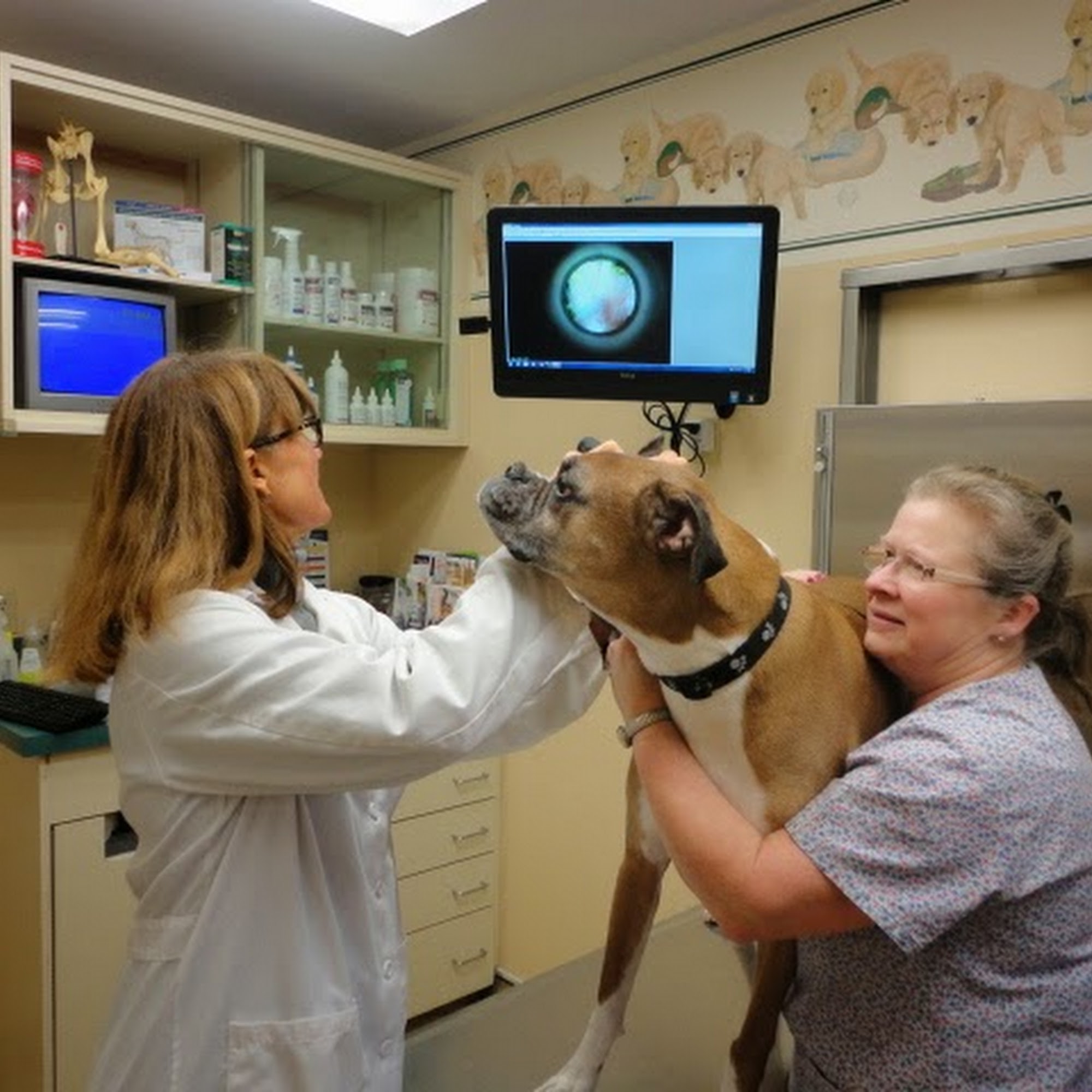 Raymond Animal Hospital Raymond