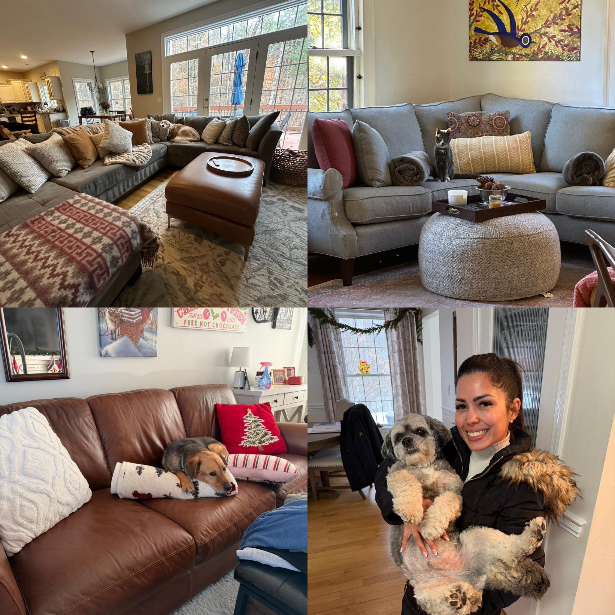 P&V Commercial Cleaning