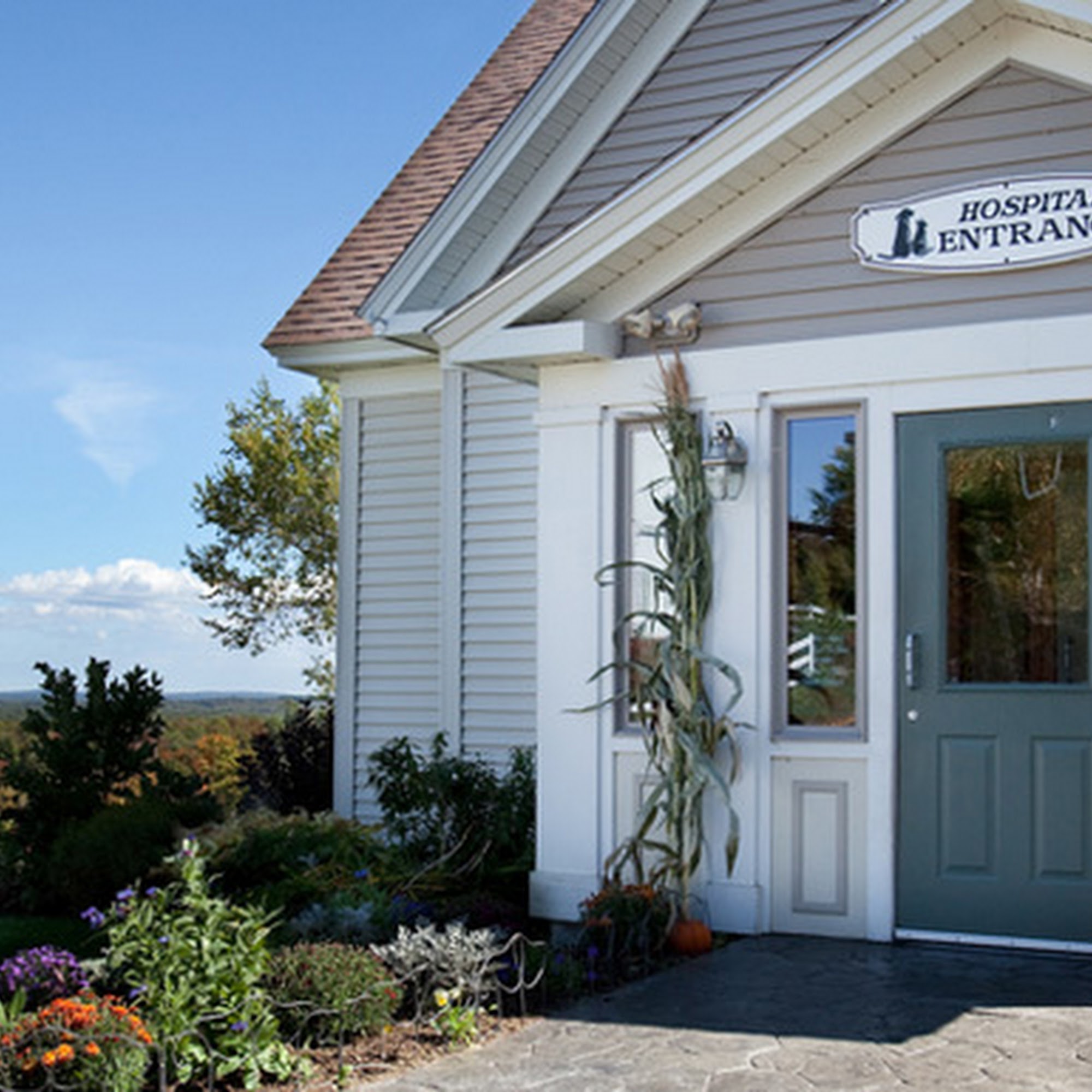 Broadview Animal Hospital of Rochester Rochester