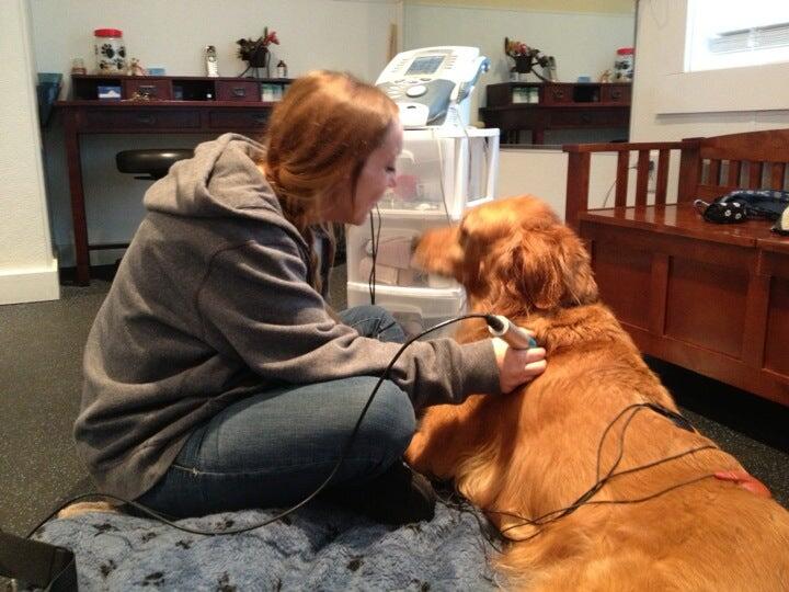 Tails of Rye Canine Rehabilitation Rye