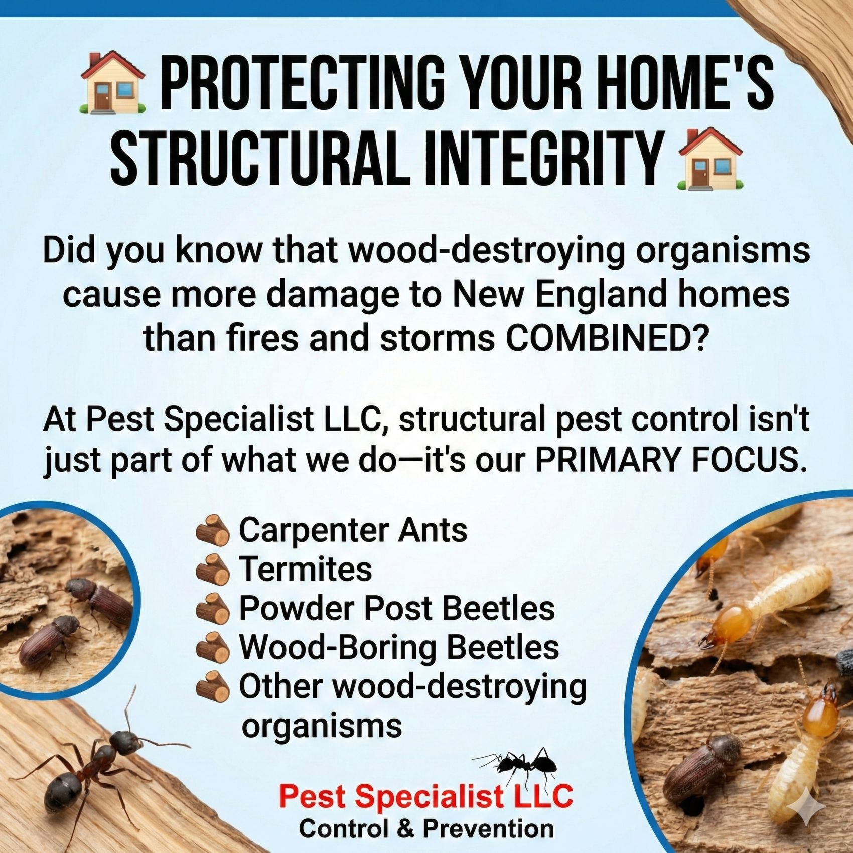Pest Specialist LLC