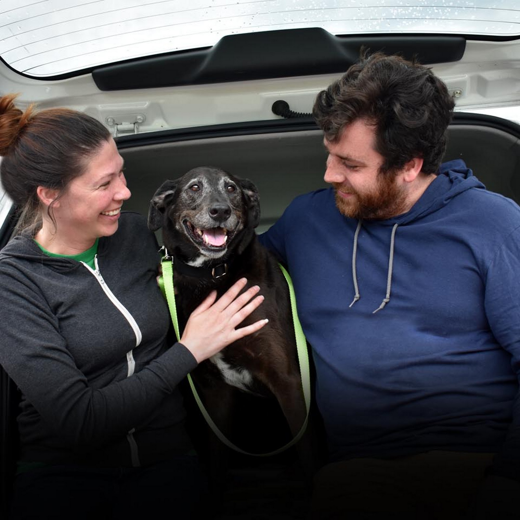 New Hampshire SPCA Stratham