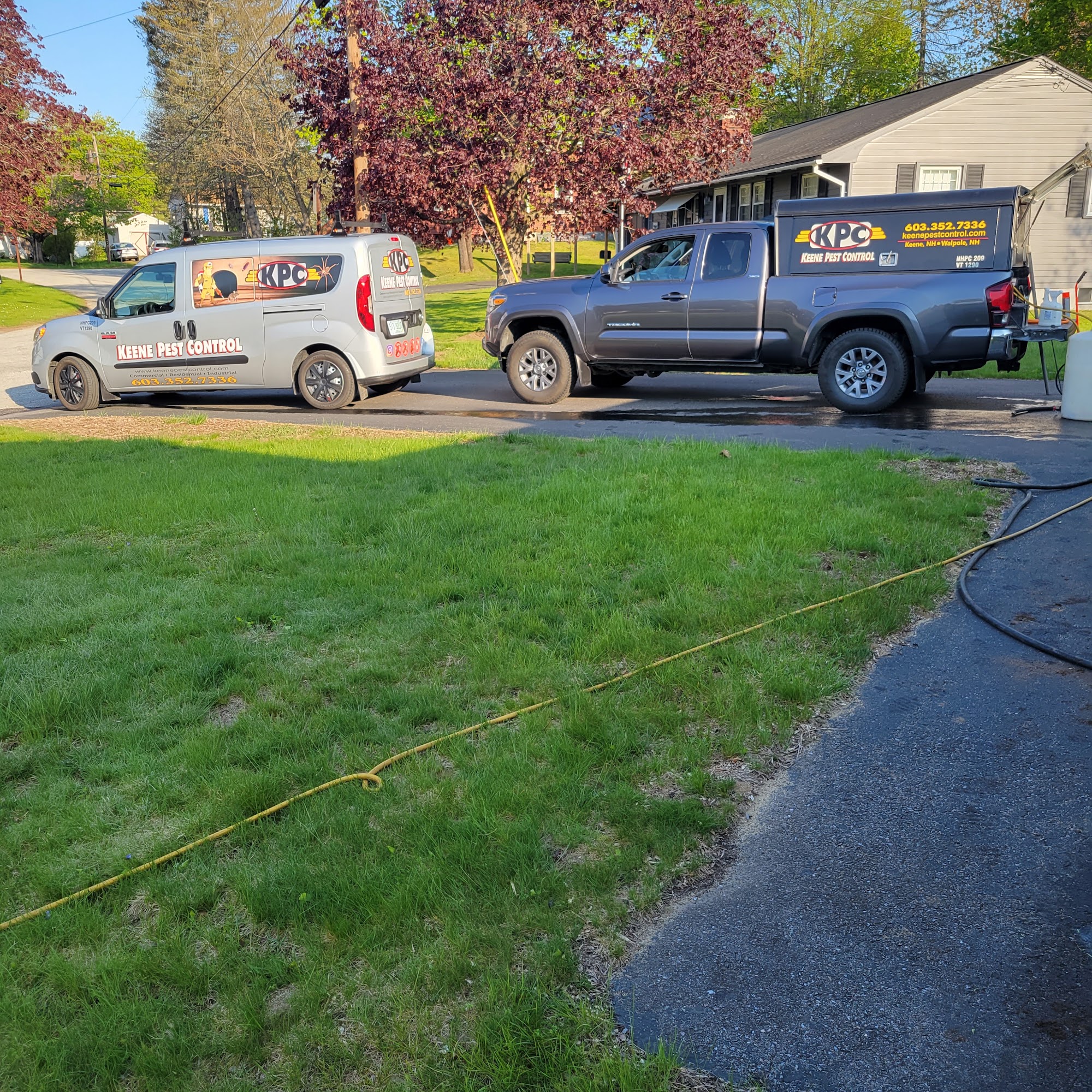 Keene Pest Control LLC 61 Whitcomb Rd, Walpole New Hampshire 03608