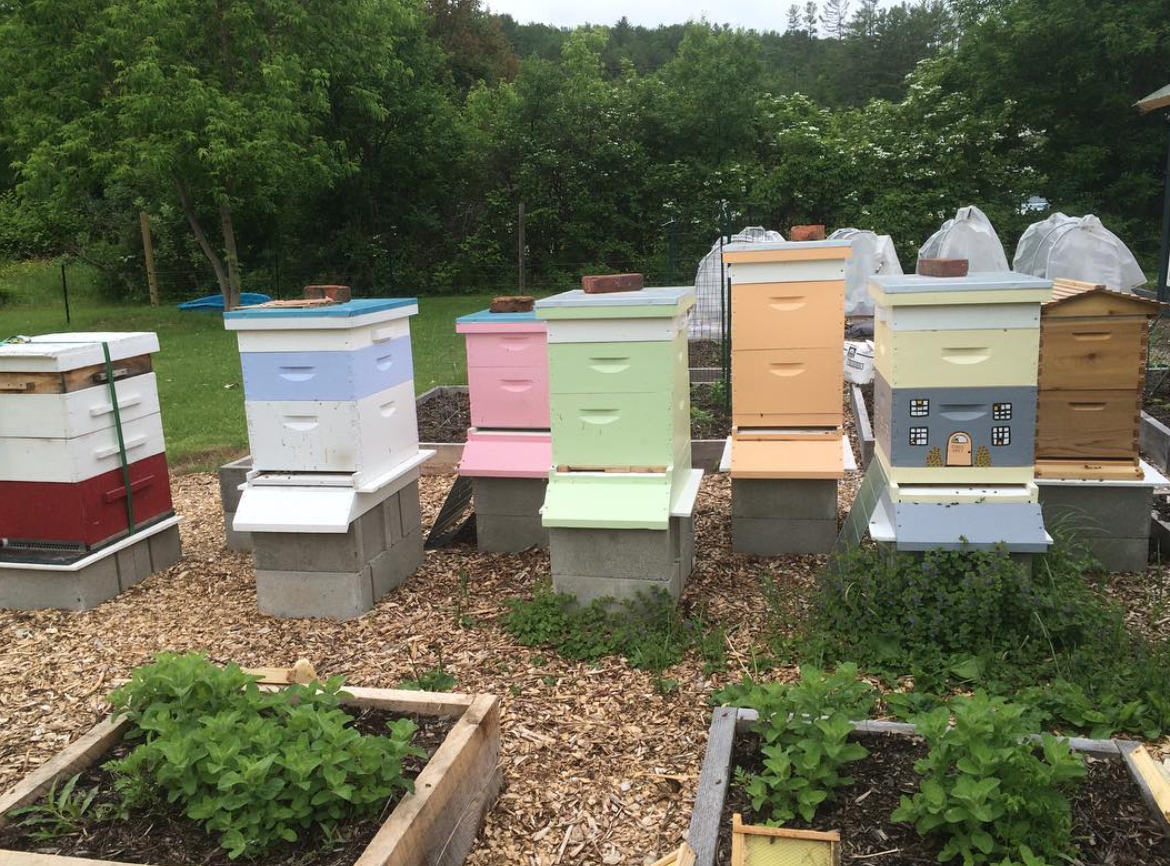 White Mountain Apiary & Bee Farm Whitefield