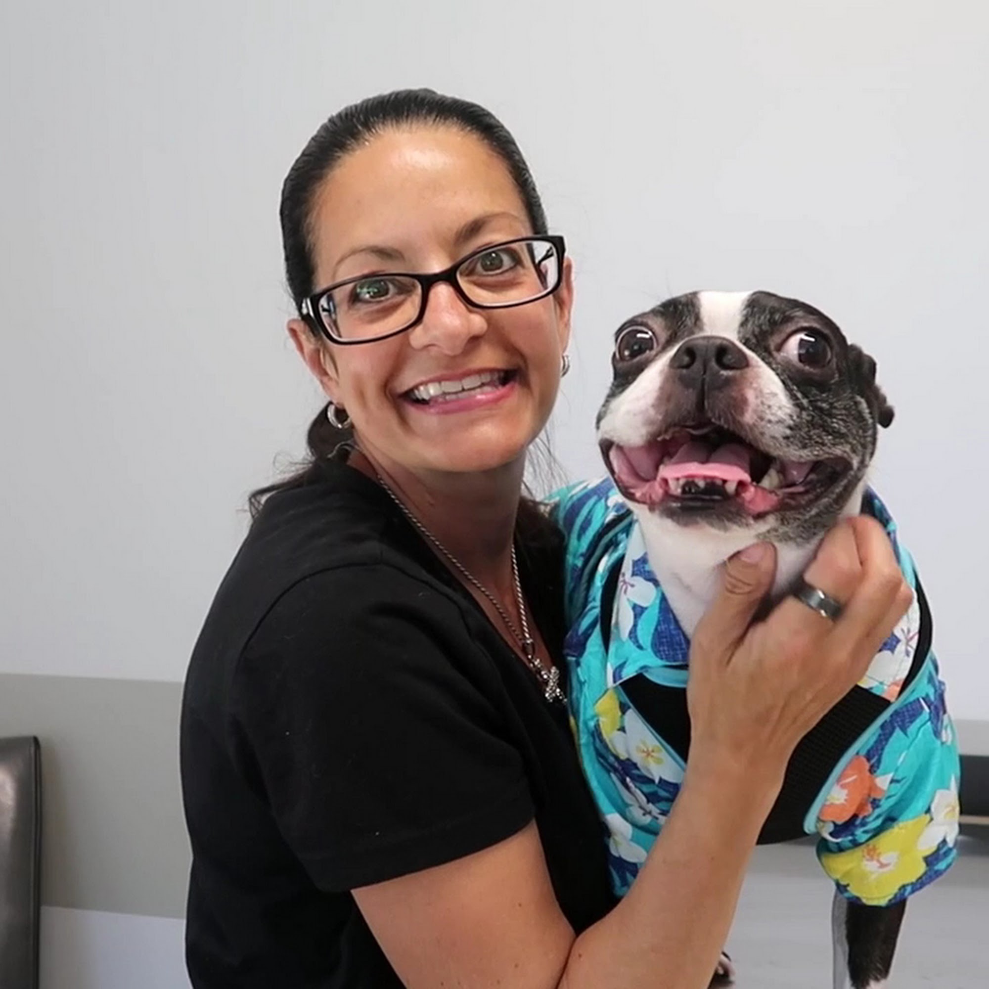 Canobie Lake Veterinary Hospital Windham