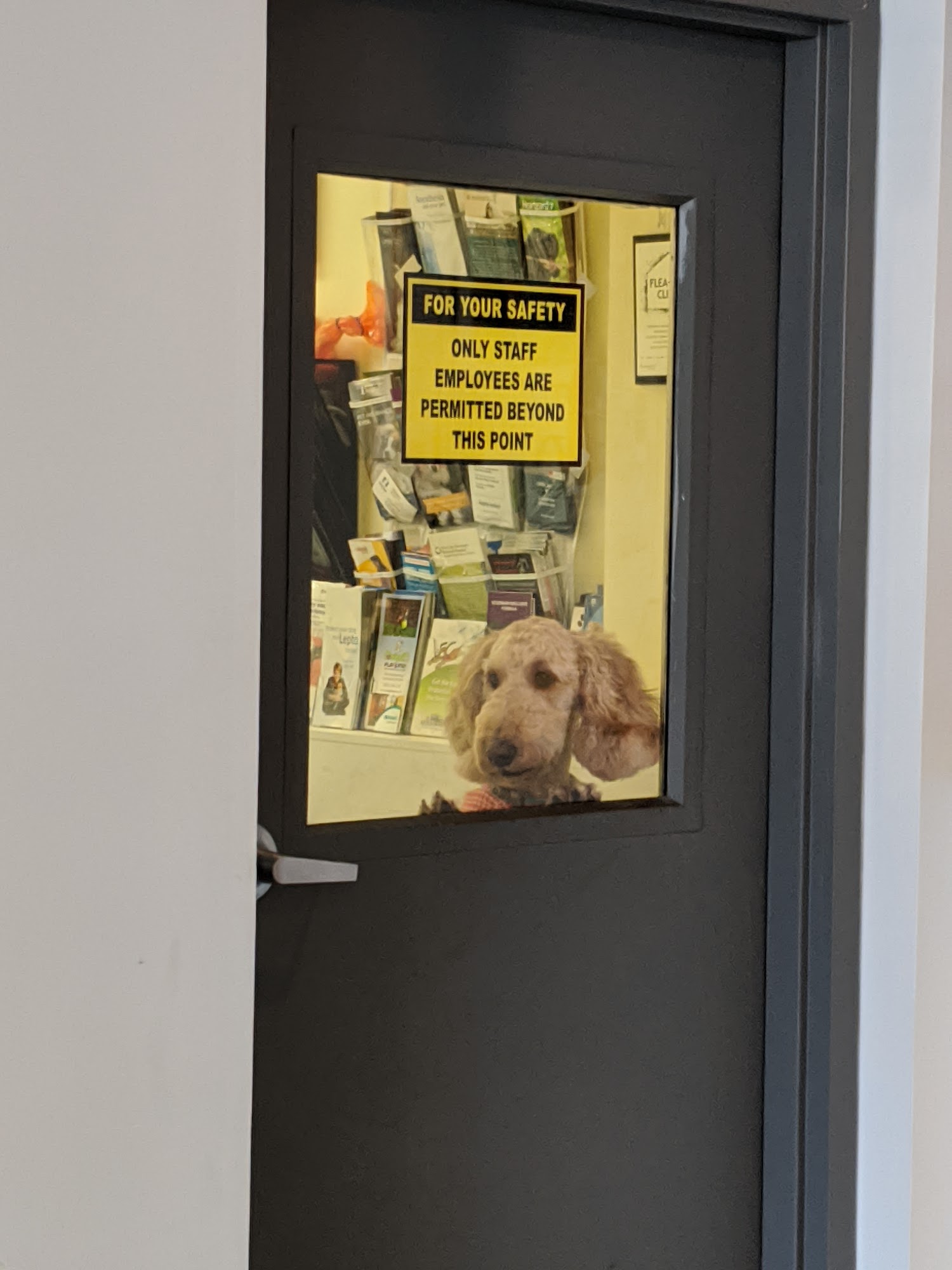 Granite State Animal Hospital Windham