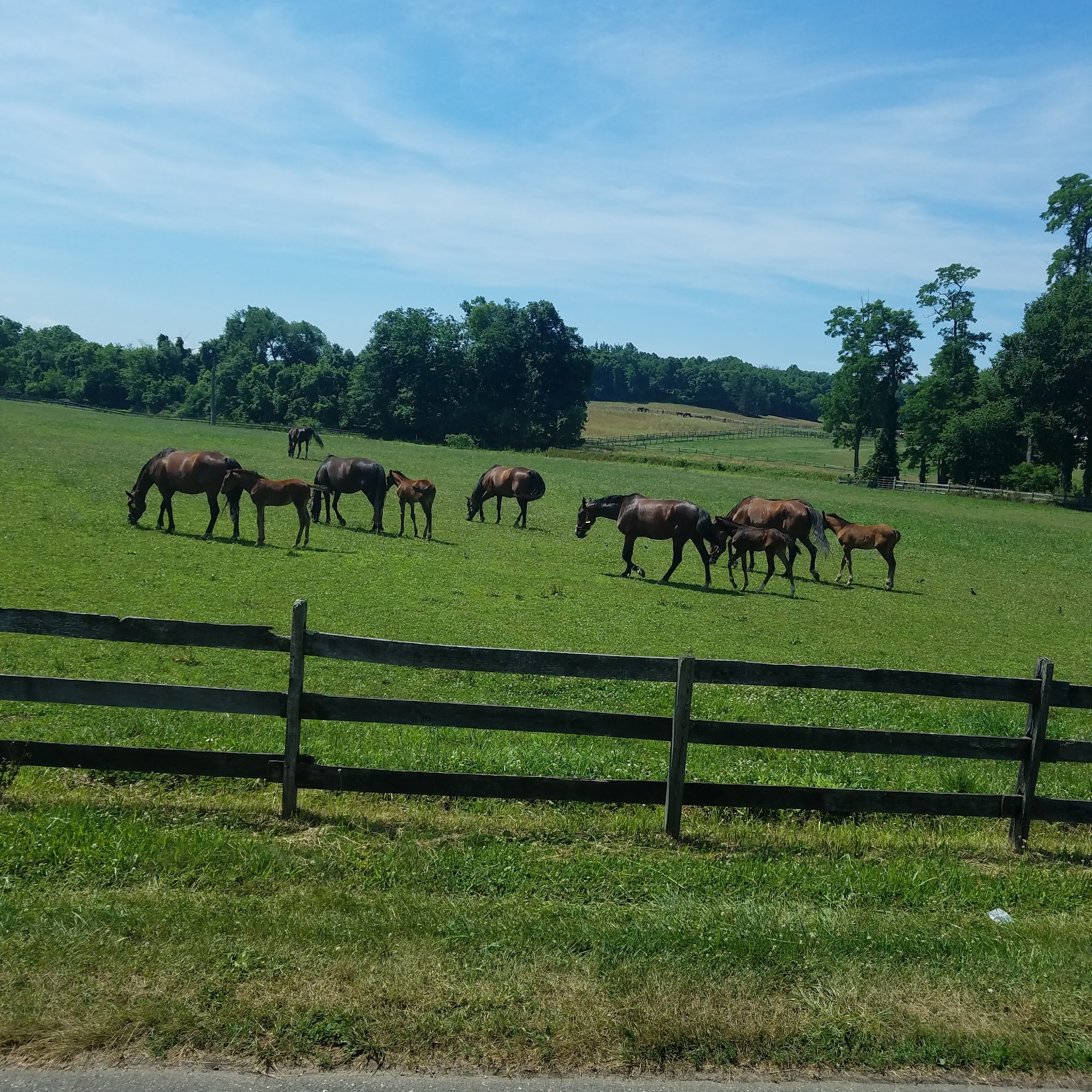 Heritage Hill Farm Allentown
