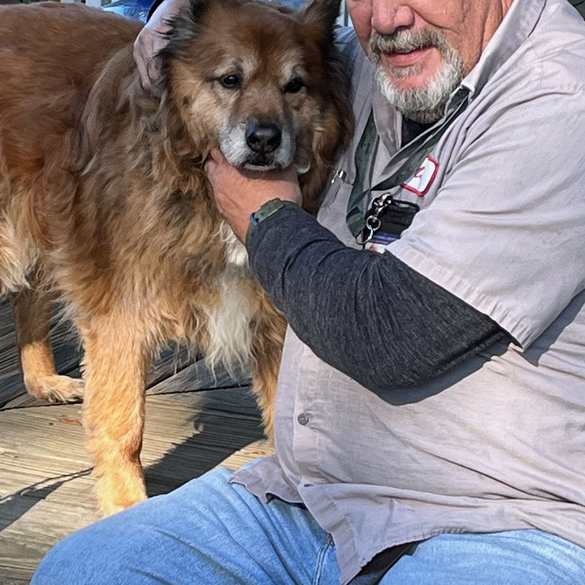 Atlantic Highlands Animal Hospital Atlantic Highlands