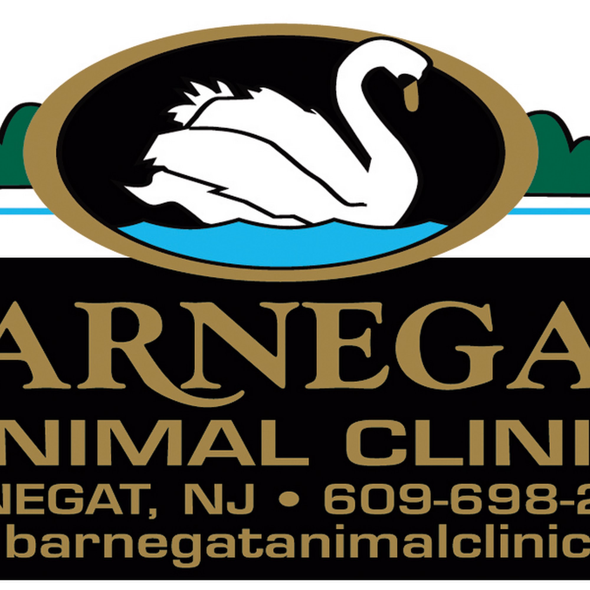 Barnegat Animal Clinic Barnegat