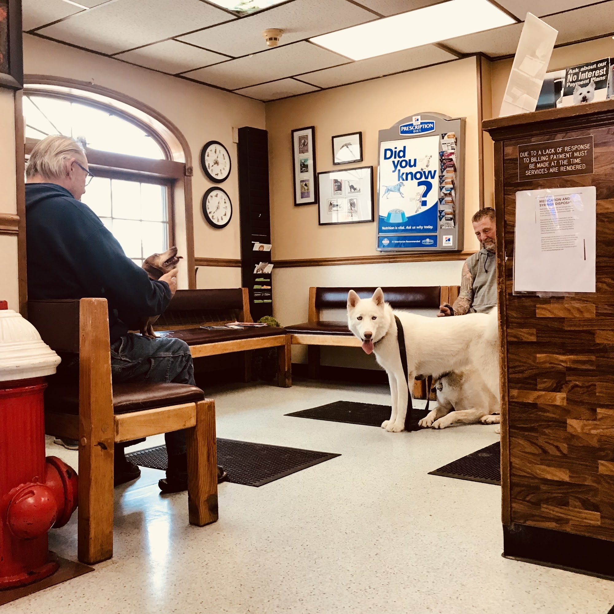 Reed Richard DVM Bayonne