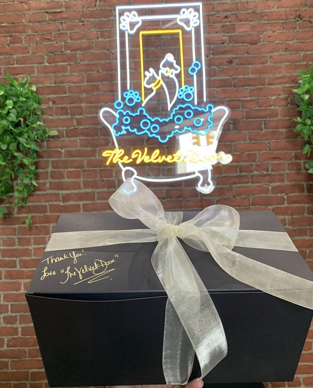 The Velvet Door Pet Spa & Boutique Bayonne