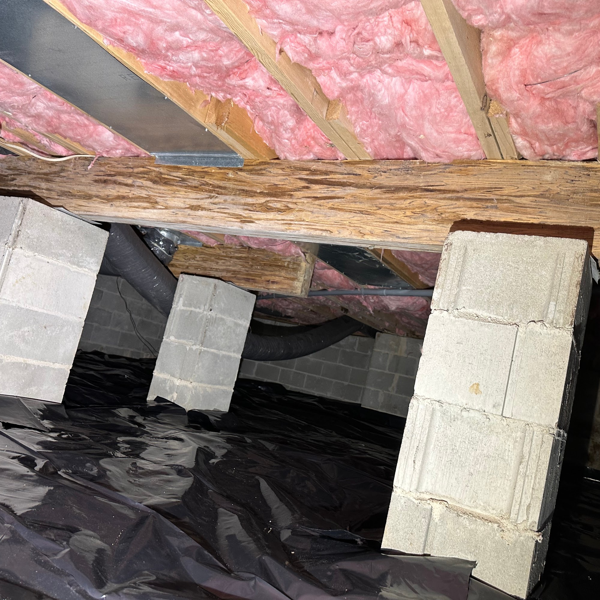 Superior Termite & Pest Control Inc