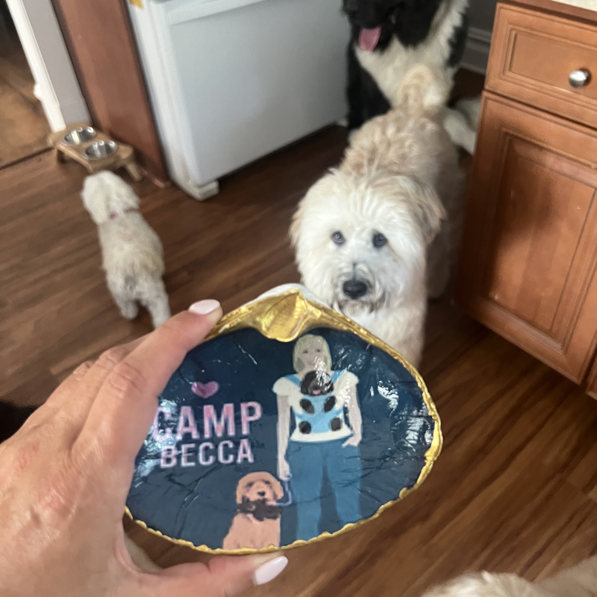 Camp Becca Dog Walking and Pet Sitting Bedminster