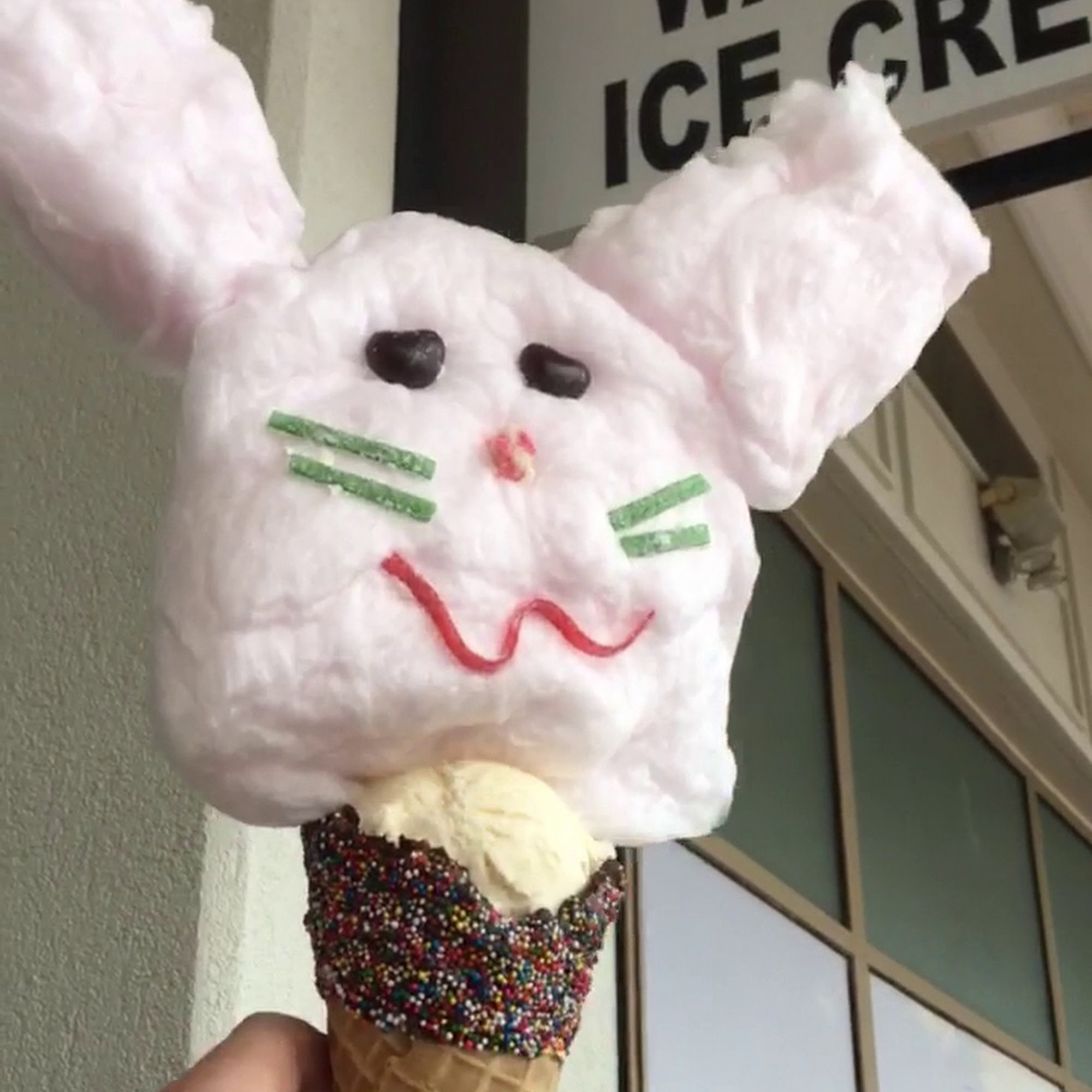 Coney Waffle, Ice Cream and Sweet Shop Belmar