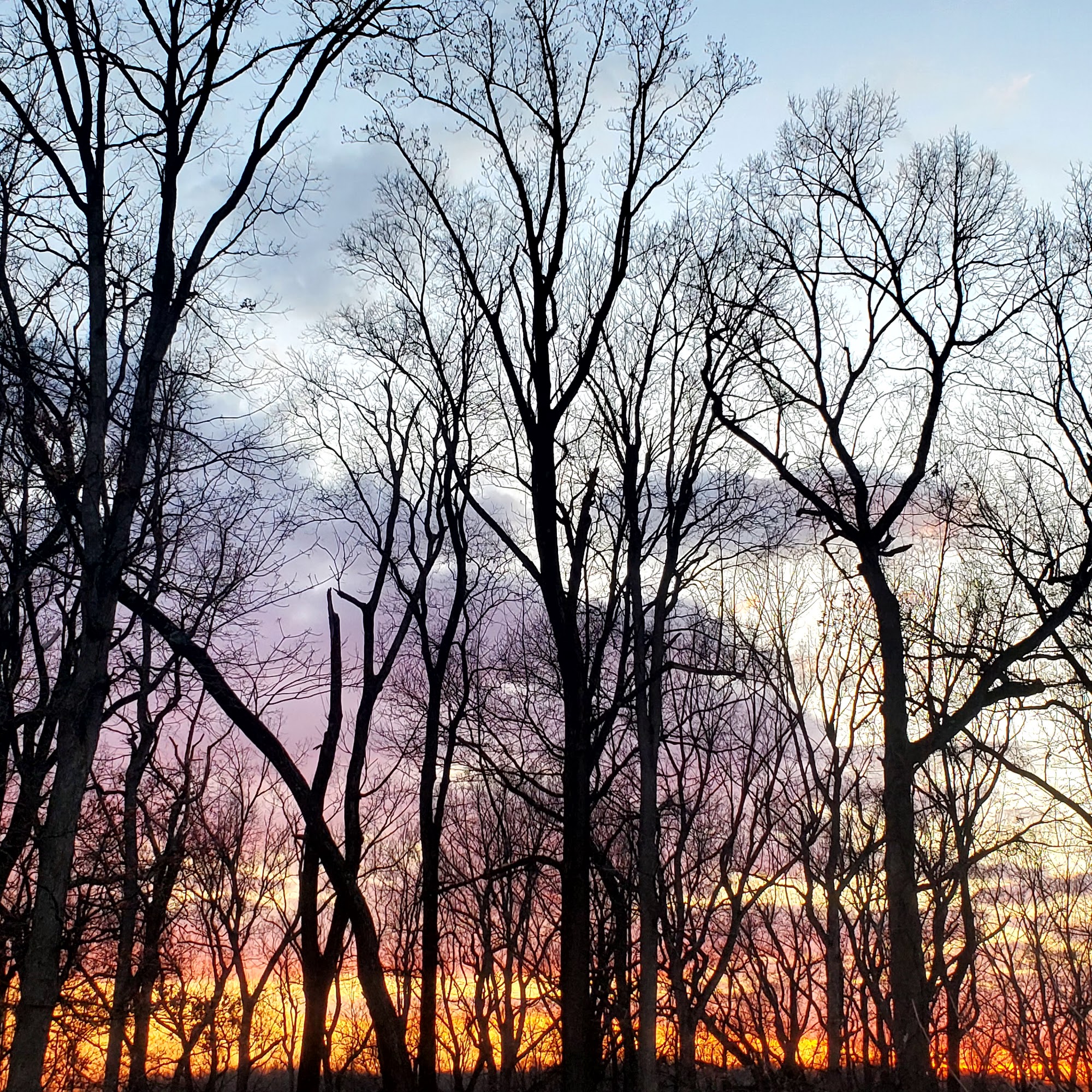 MountainView Behavioral Hospital 40 Watchung Way, Berkeley Heights New Jersey 07922