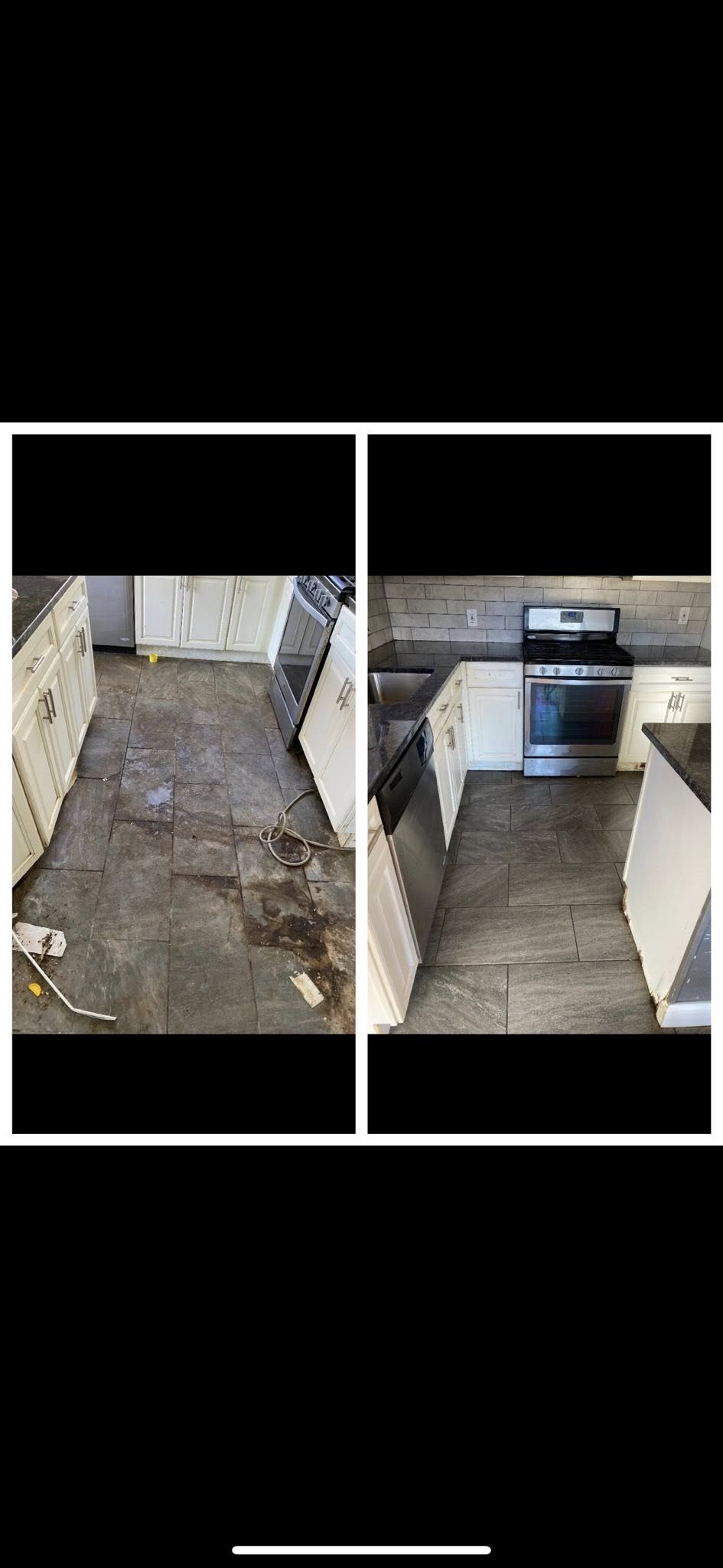 High & Low Pest Control