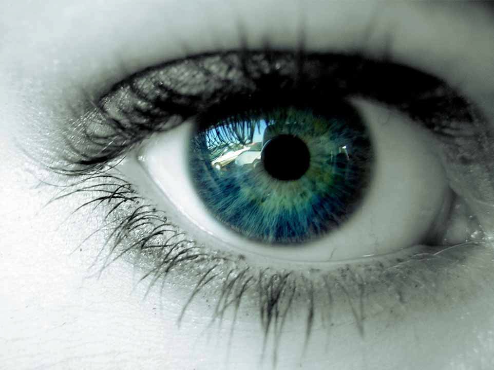 Eye Surgeons of North Jersey, LLC
