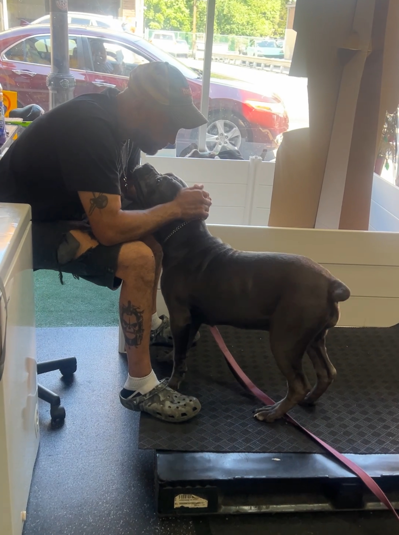 Tanattus K9 - Dog Spa and Training School Bloomfield