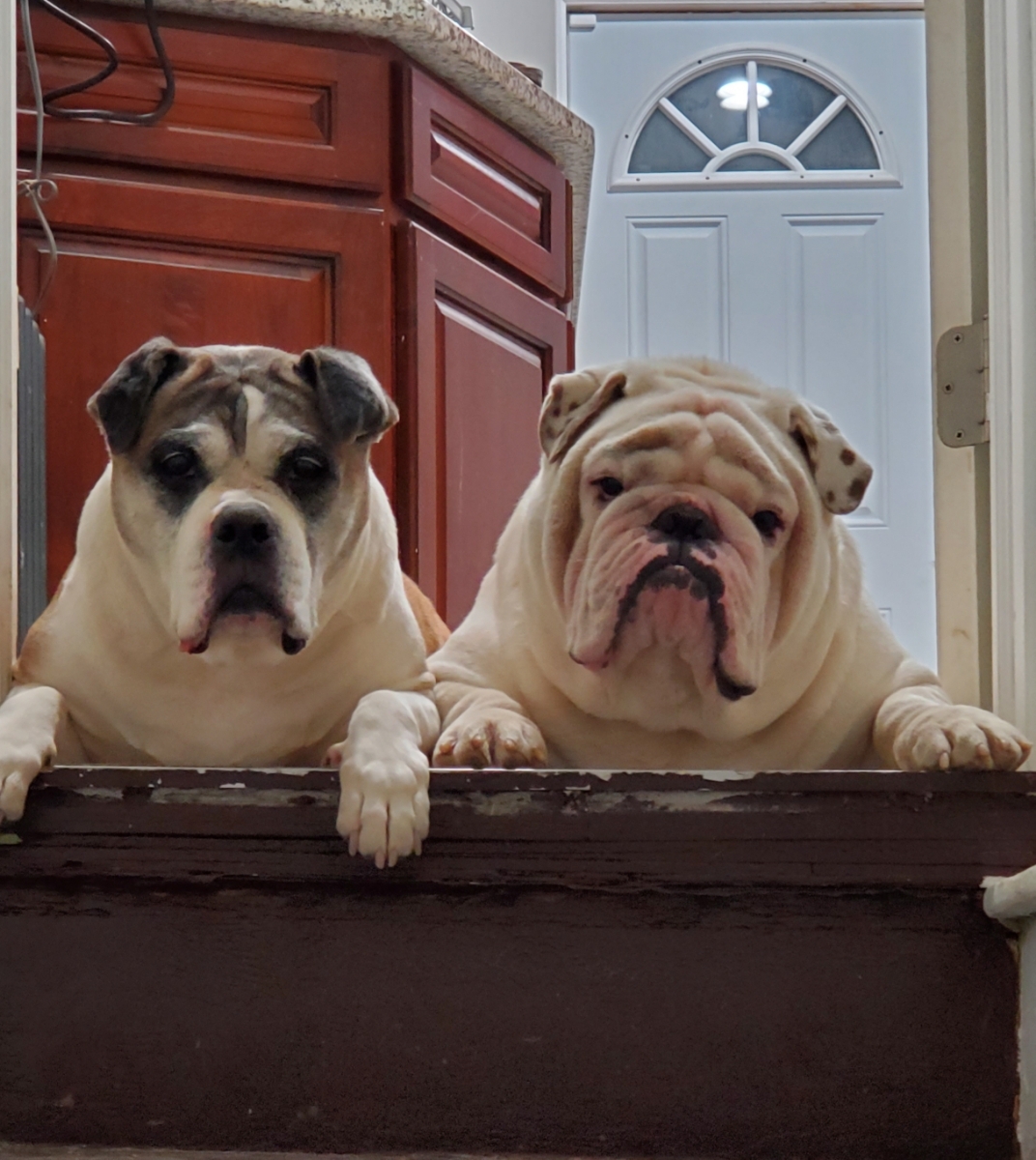 Details By Lisa Boonton