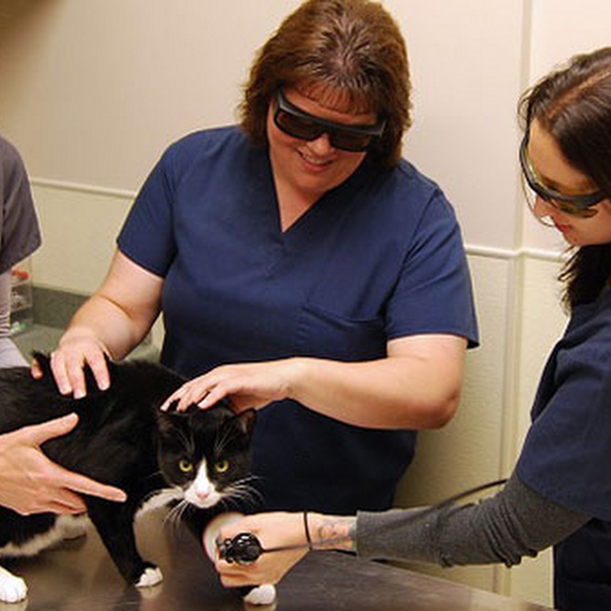 Chesterfield Veterinary Clinic Bordentown