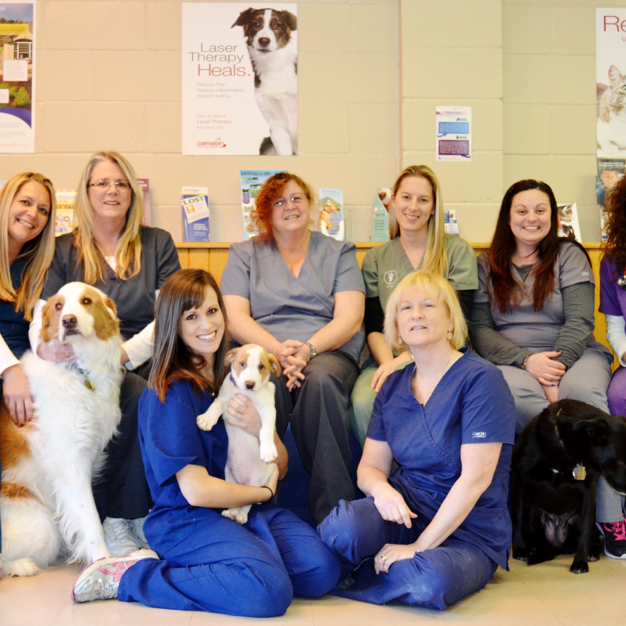 Laurelton Veterinary Hospital Brick