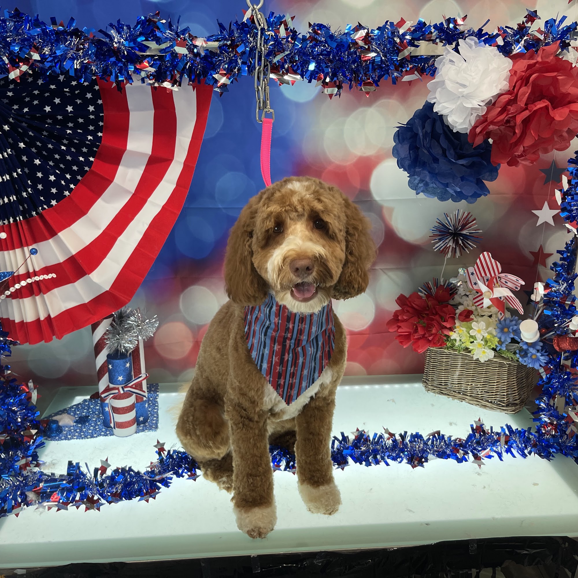 Grooming by J-Lynn Brick