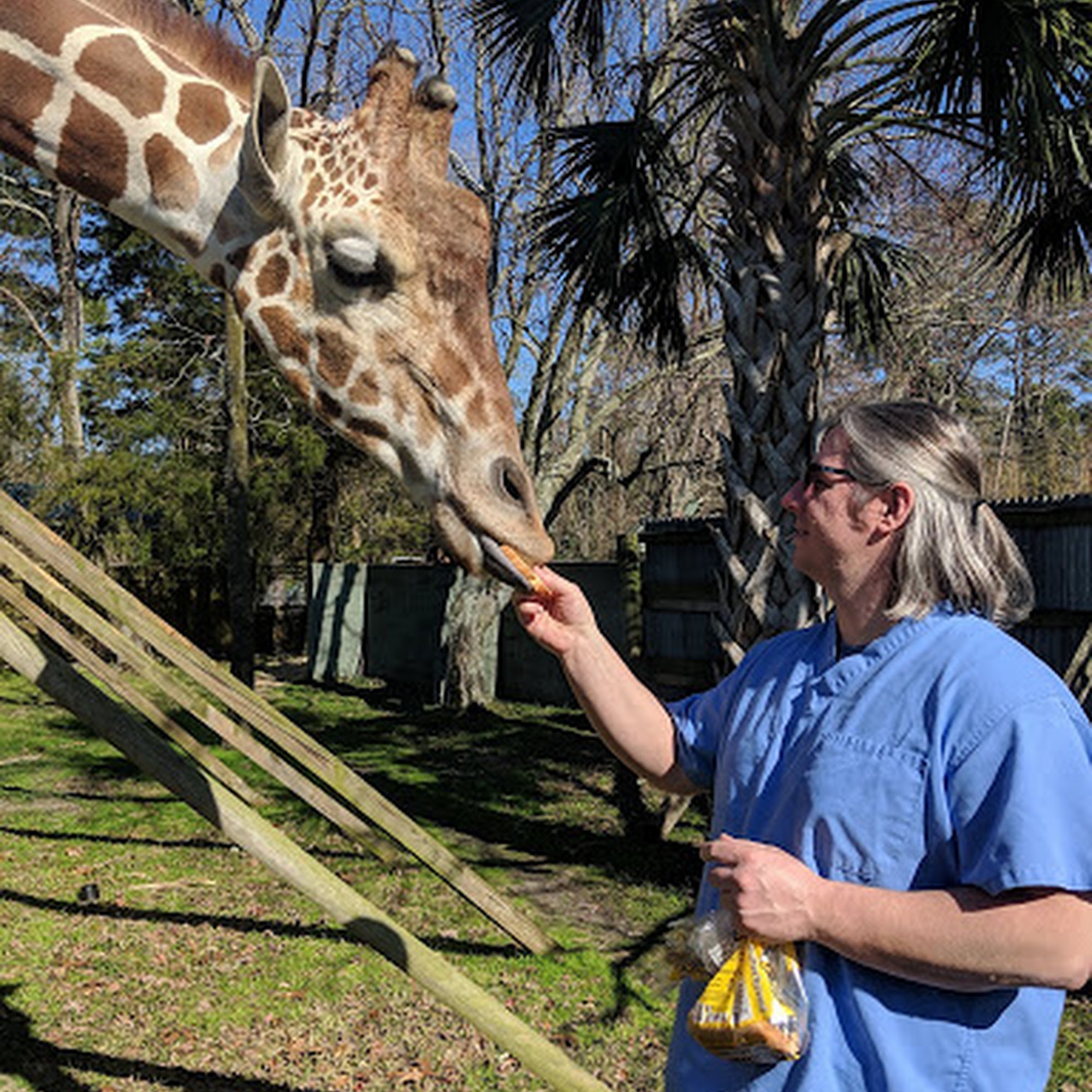 Nautilus Avian & Exotics Veterinary Specialists Brick