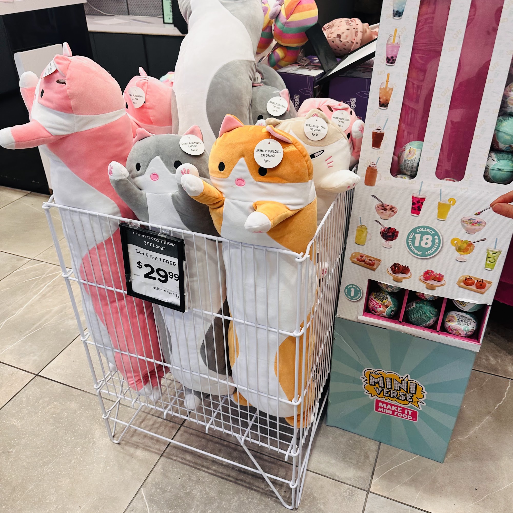 Showcase Bridgewater