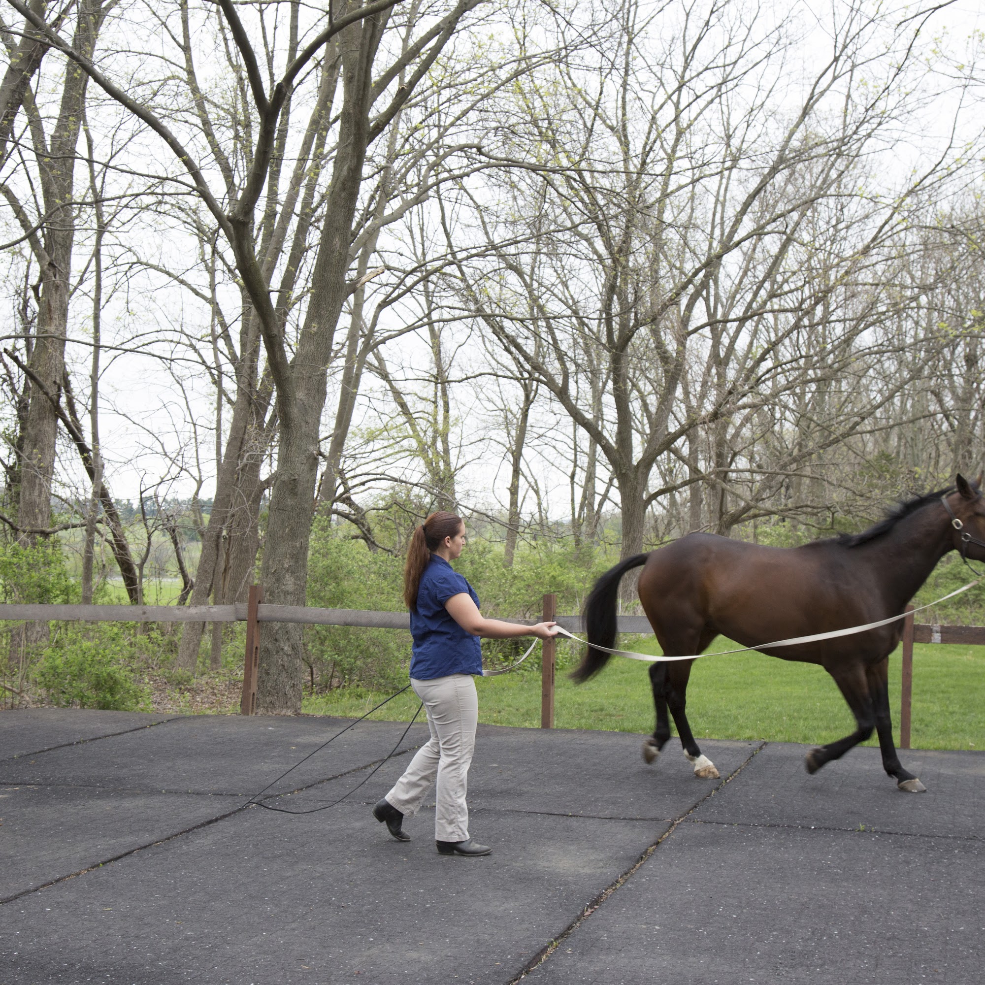 B.W. Furlong & Associates Califon