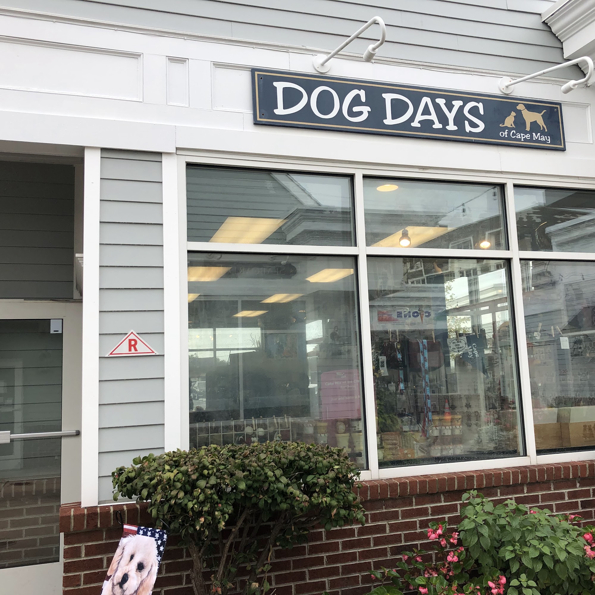 Dog Days of Cape May Cape May
