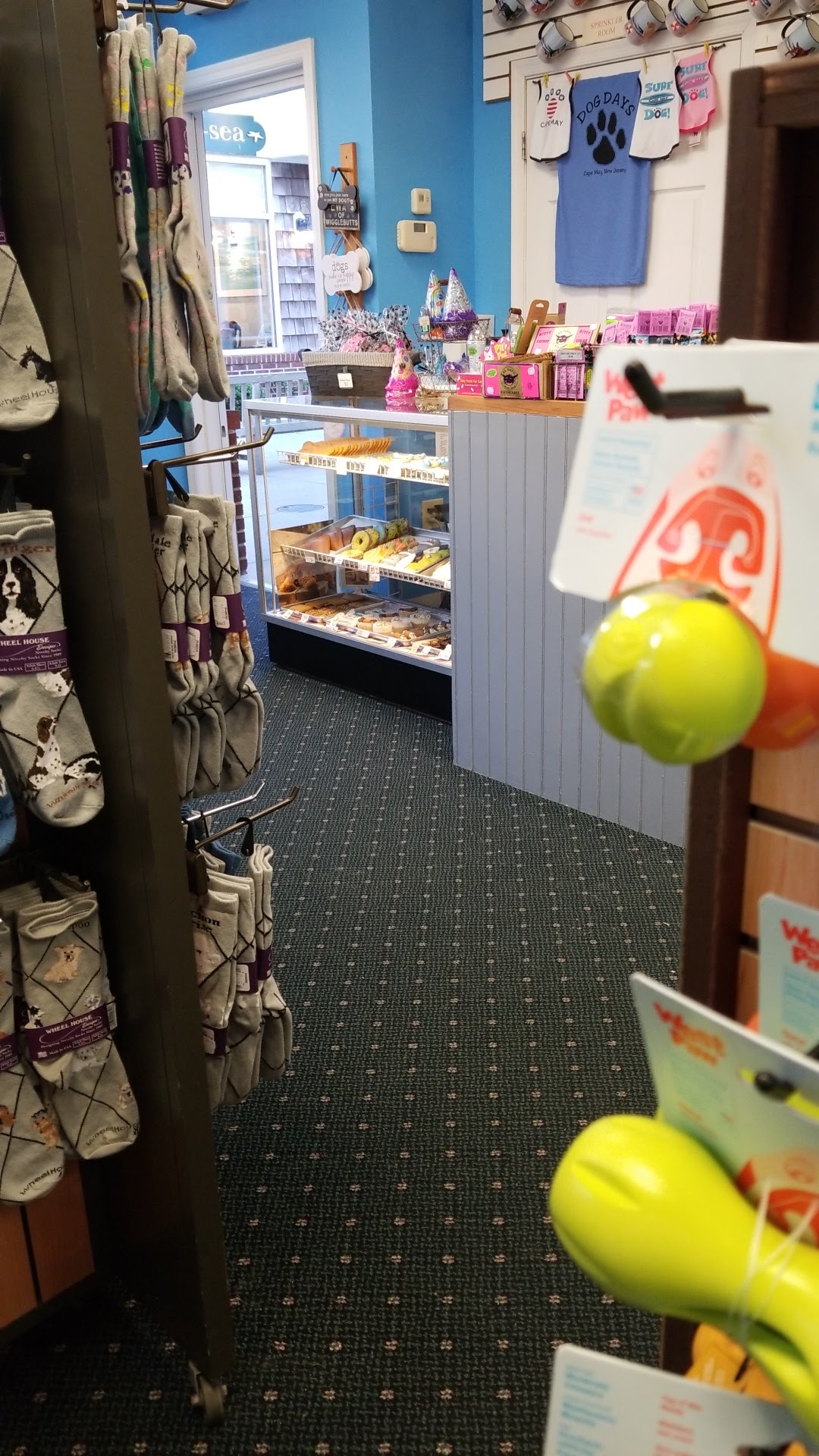 Dog Days of Cape May Cape May