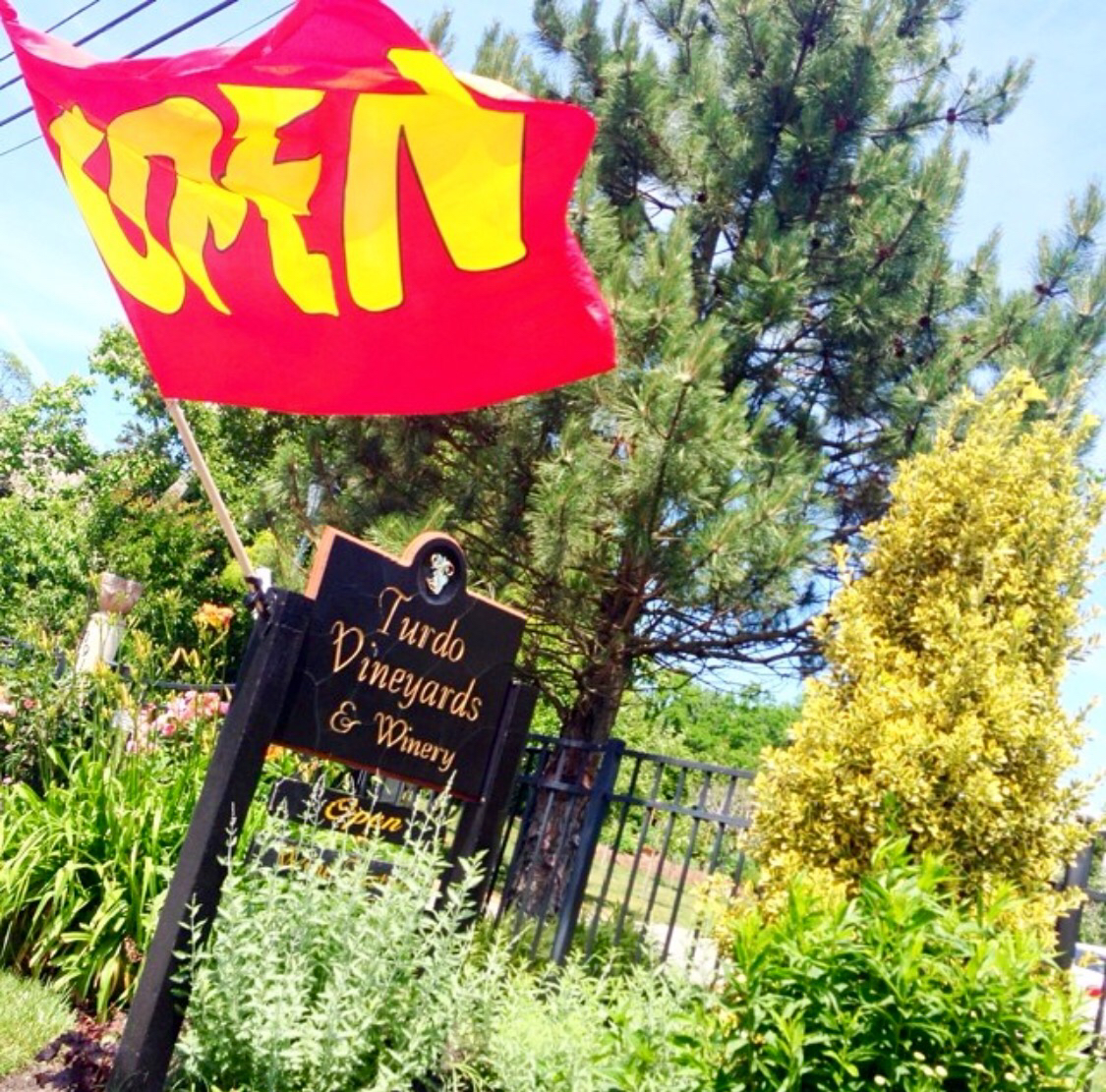 Turdo Vineyards & Winery Cape May