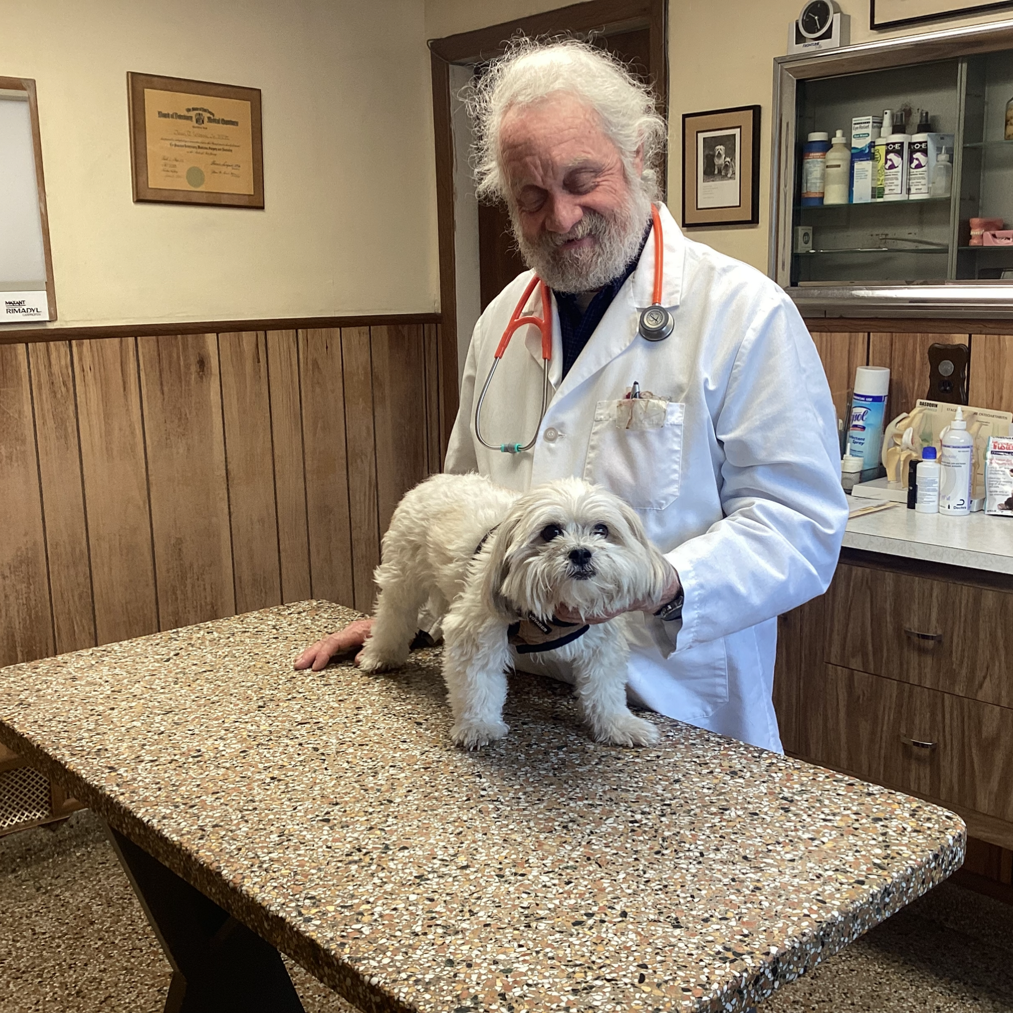 Cedar Grove Animal Hospital Cedar Grove