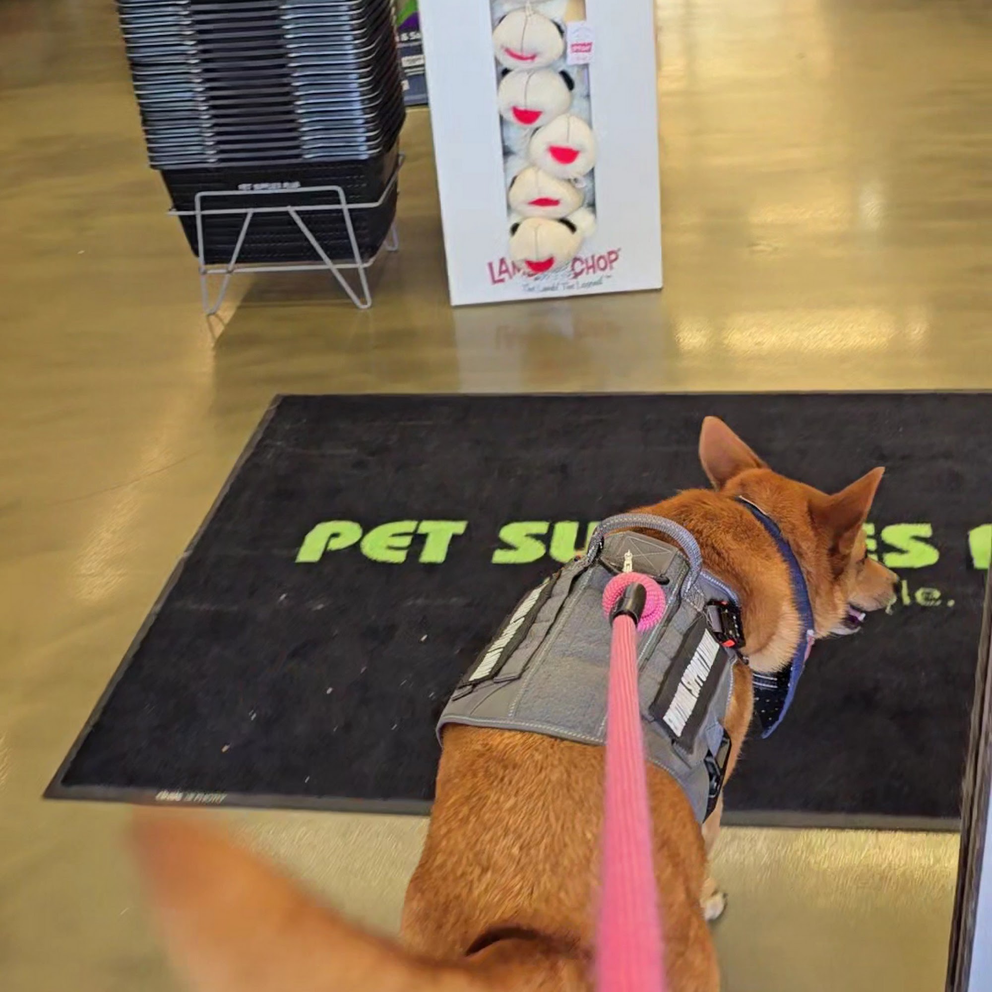 Pet Supplies Plus Cherry Hill Cherry Hill