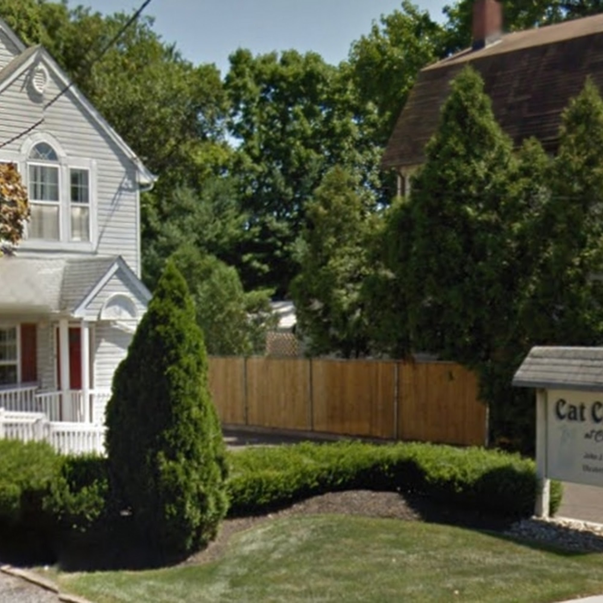 Cat Clinic At Cherry Hill Cherry Hill