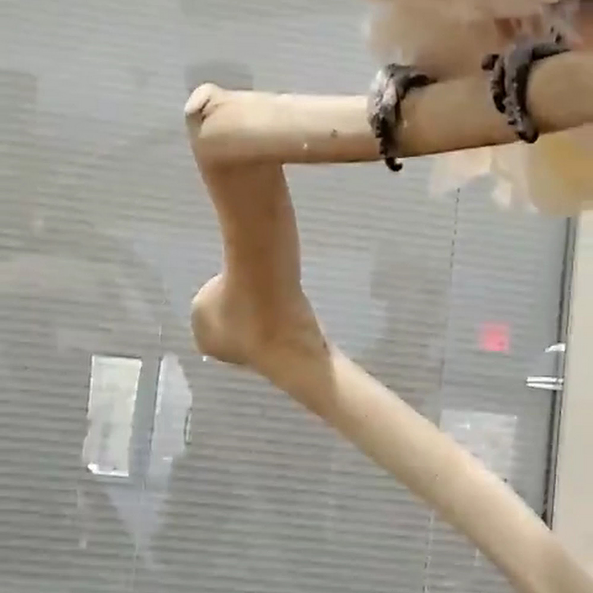 Animal & Bird Health Care Center & Hospital Cherry Hill