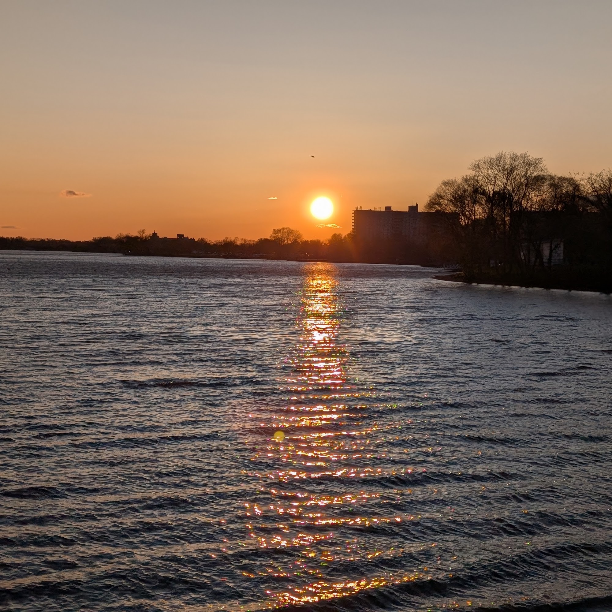 Cooper River Dog Park Cherry Hill