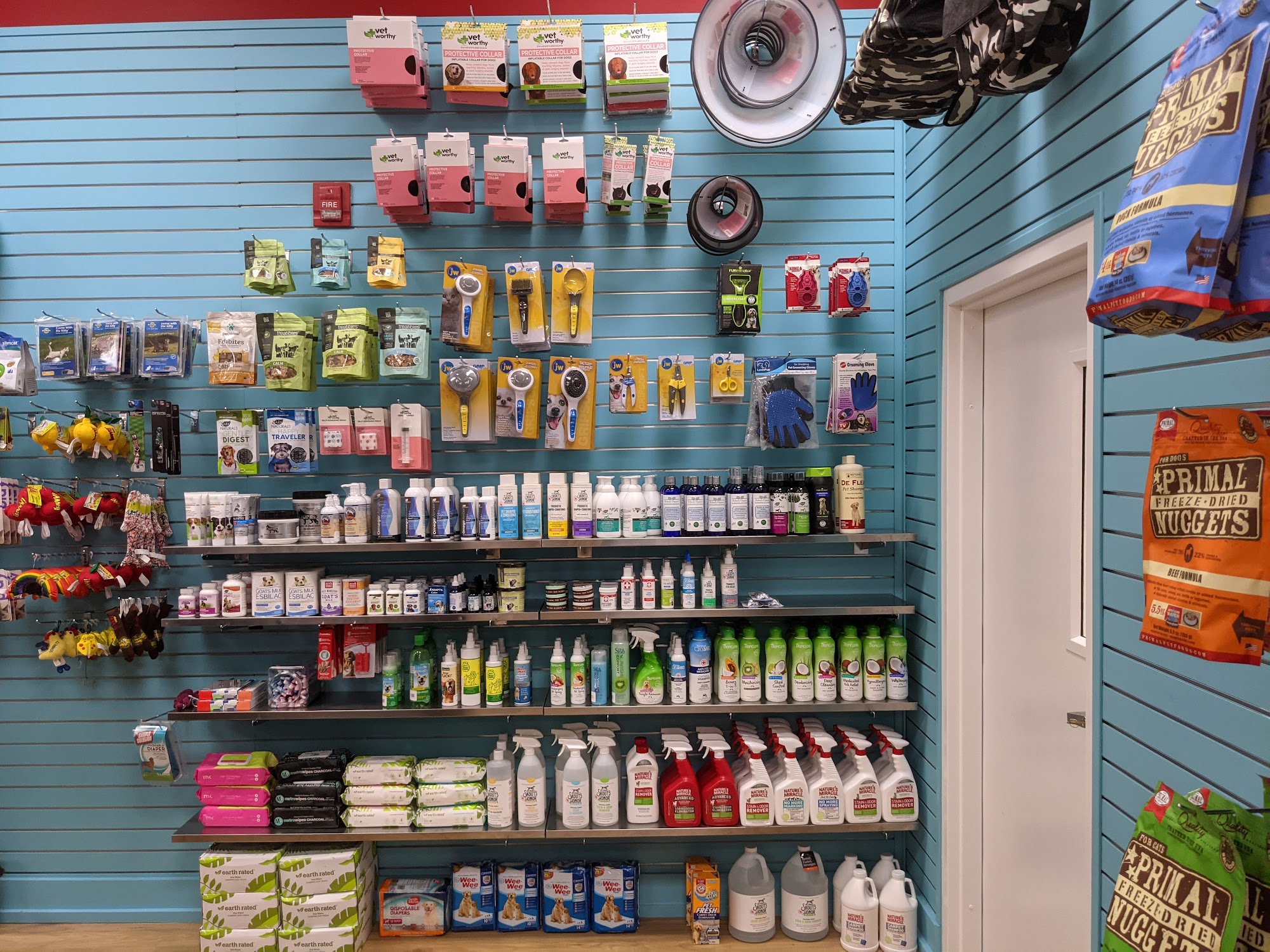 Doggie Style Pets Cinnaminson Cinnaminson