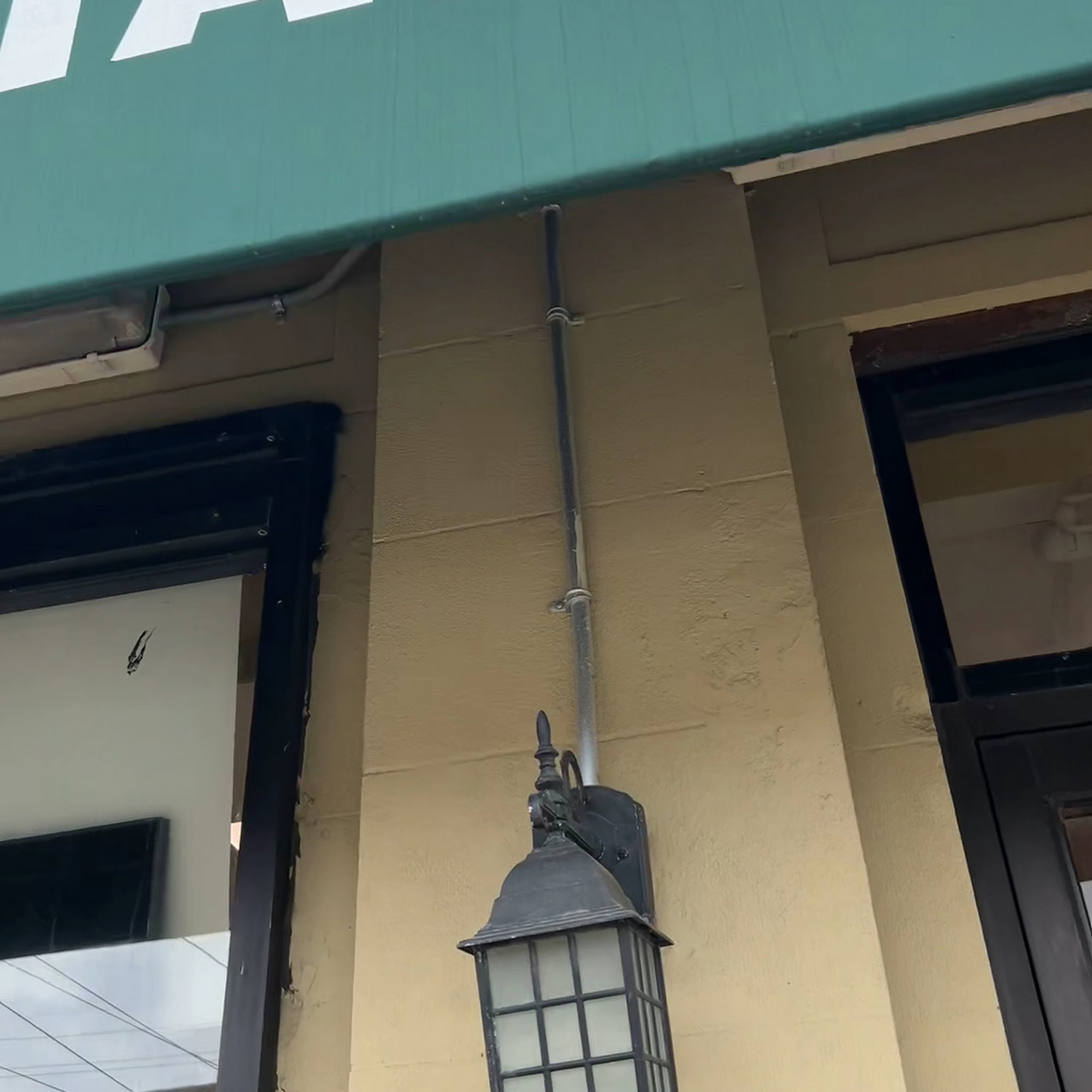 Head To Tail Cliffside Park