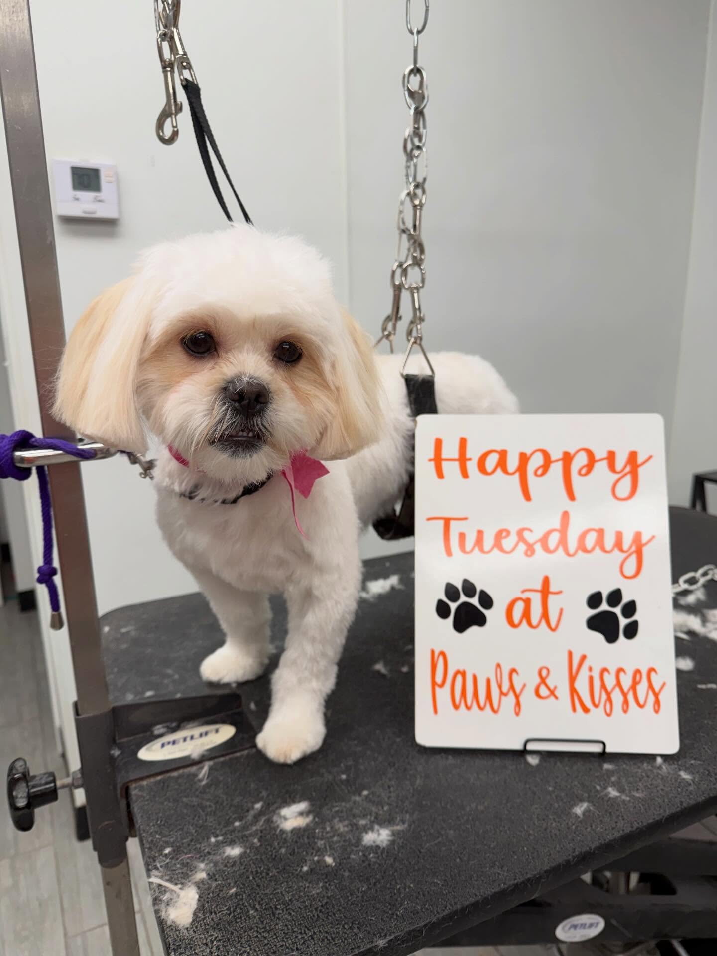 Paws & Kisses Cliffside Park