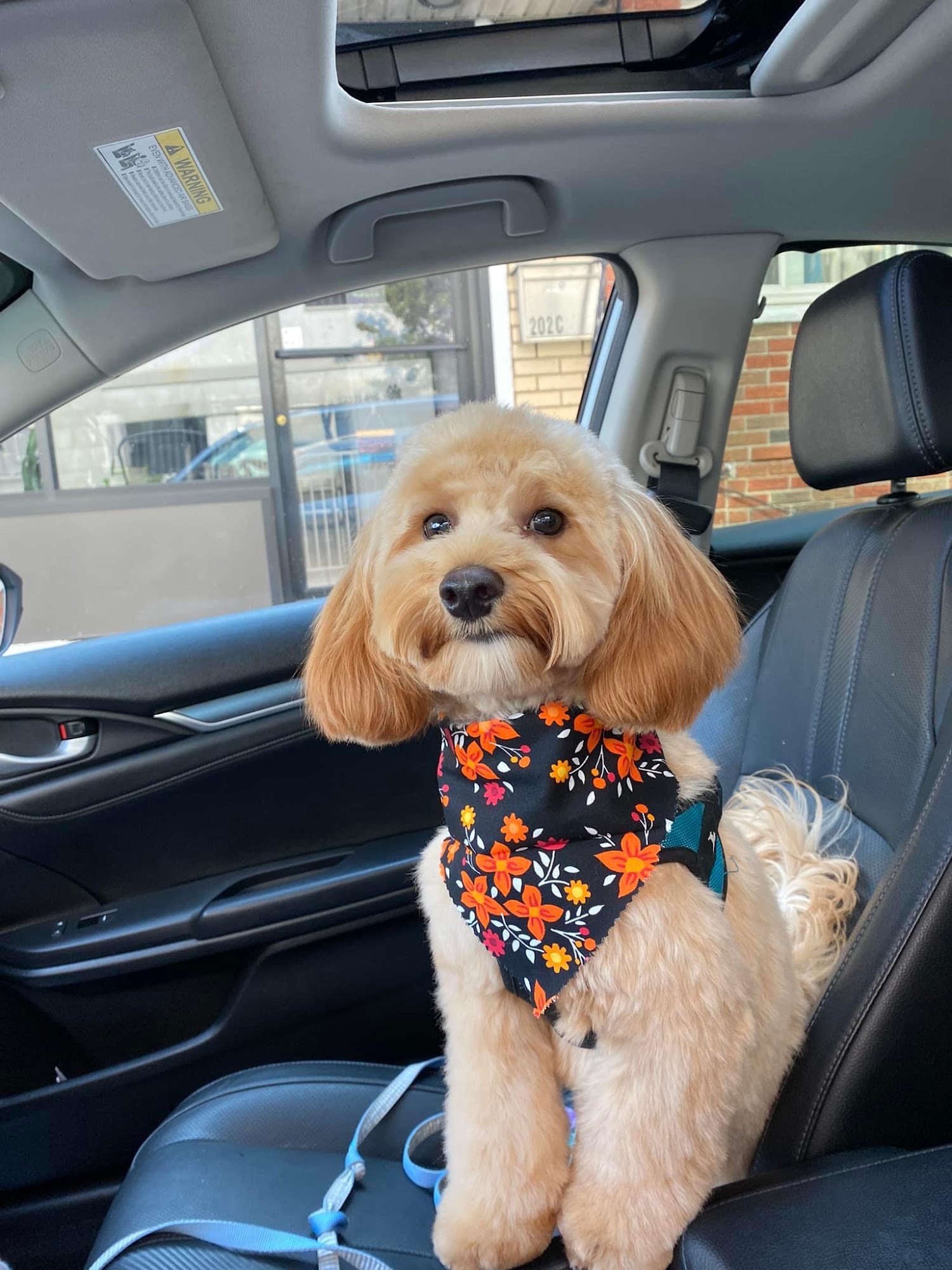 MEL’S SPAW LLC Cliffside Park