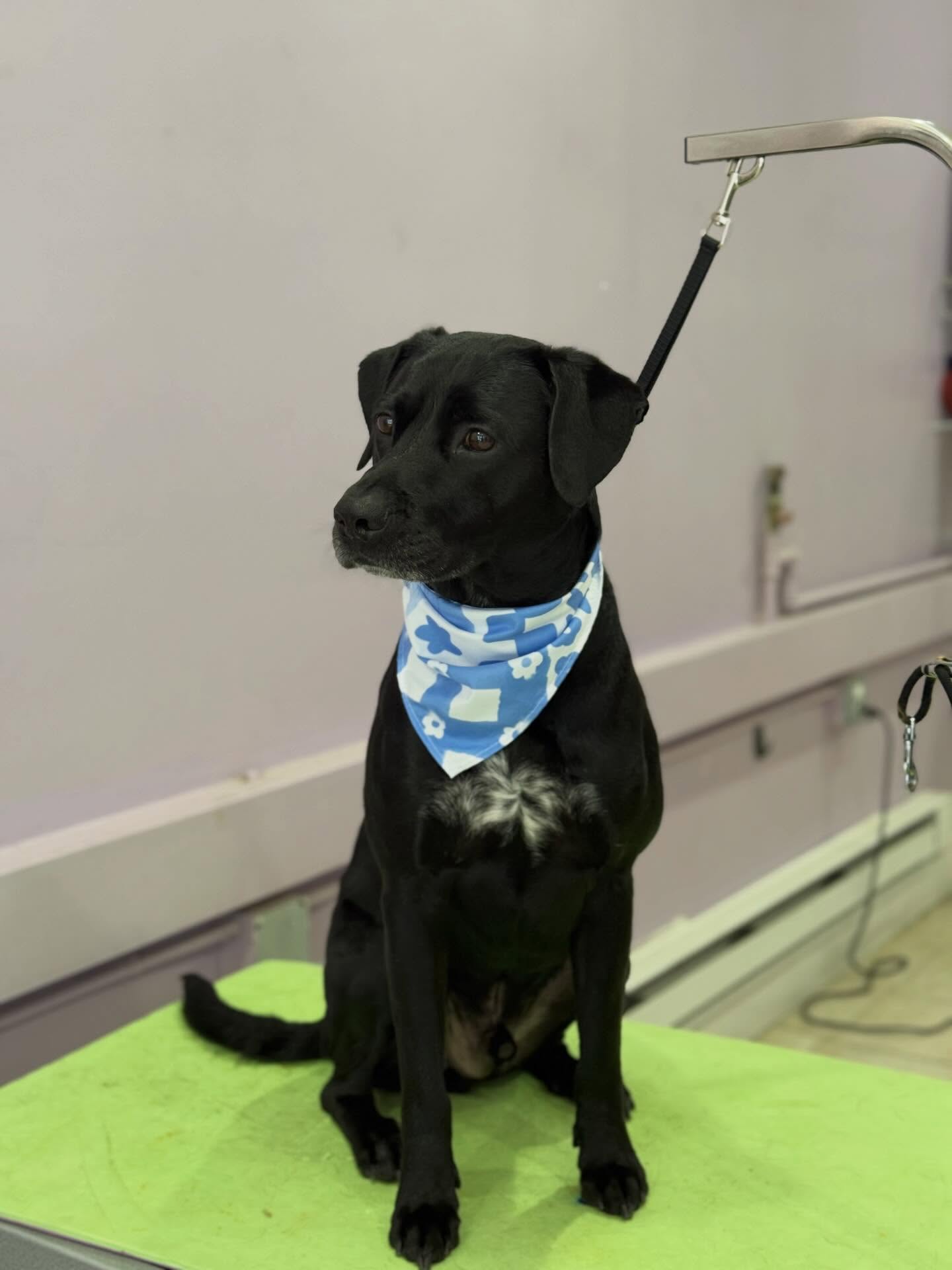 MEL’S SPAW LLC Cliffside Park