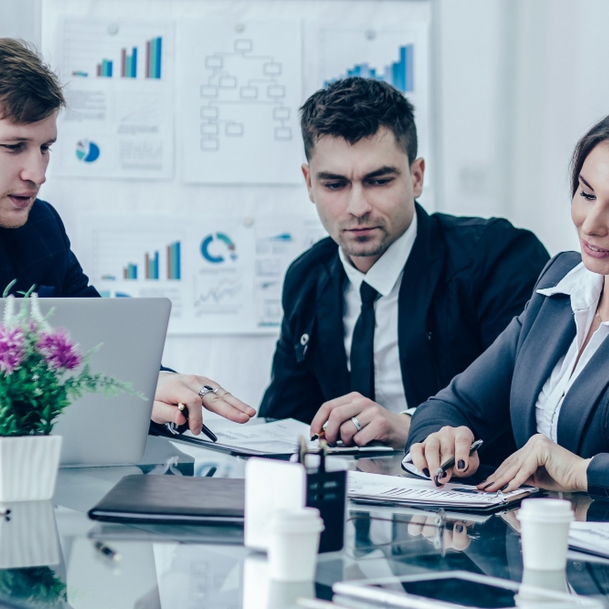 Mammoth Consulting Group (MCG)