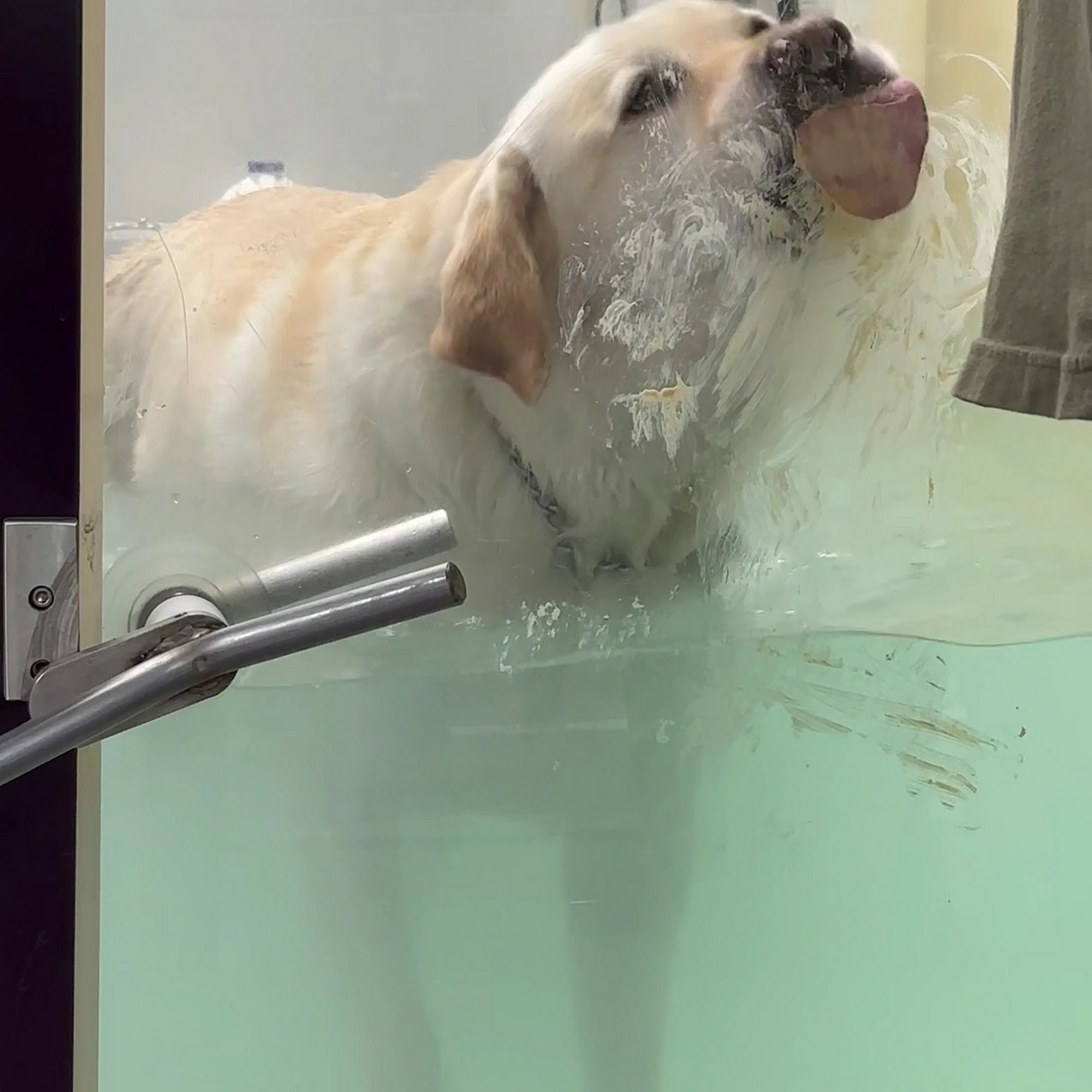 Valley Animal Hospital Clifton