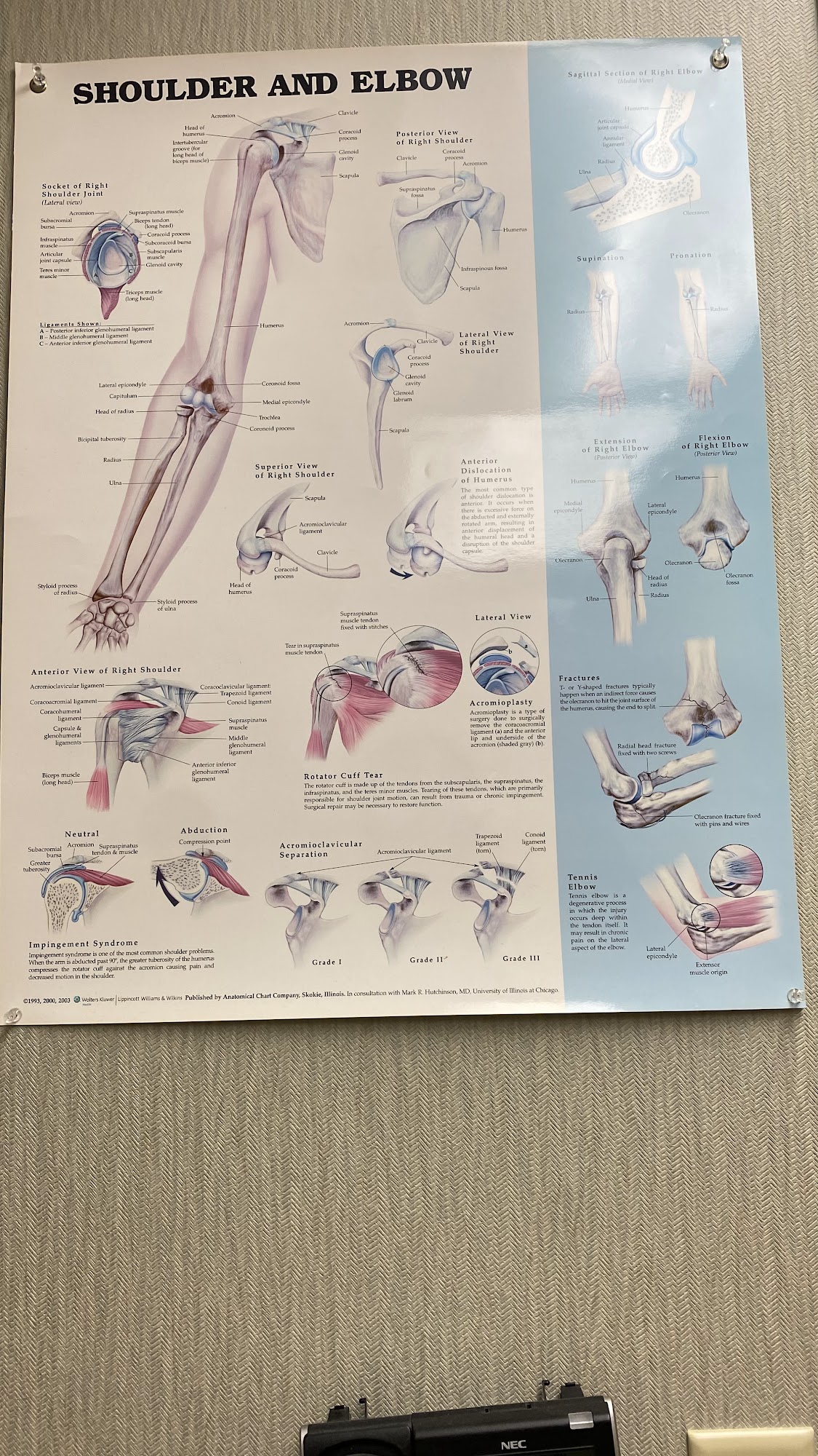 Garden State Orthopaedic Associates, P.A.
